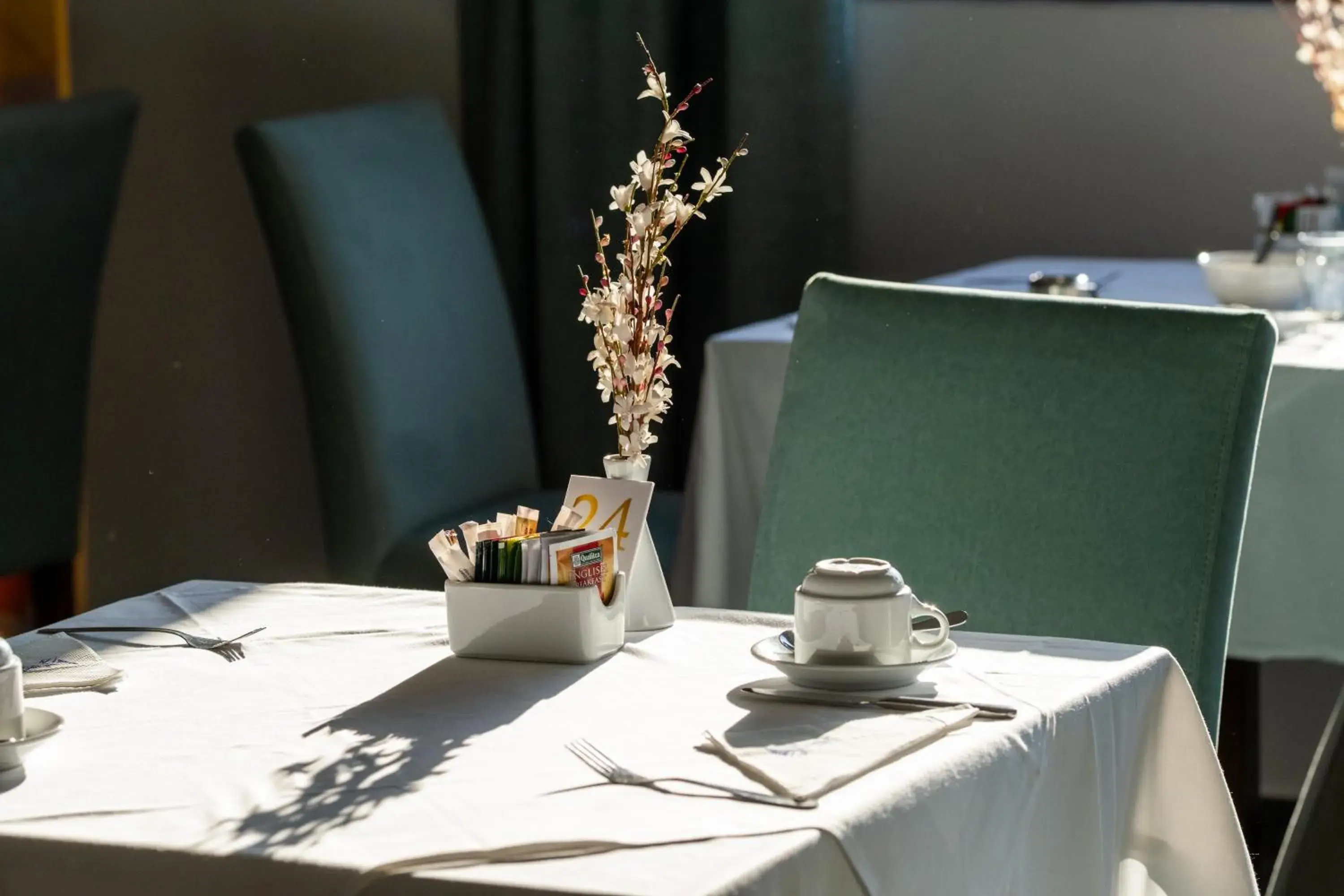 Restaurant/places to eat in Mediterranean Beach Resort Restaurant/places to eat in Mediterranean Beach Resort