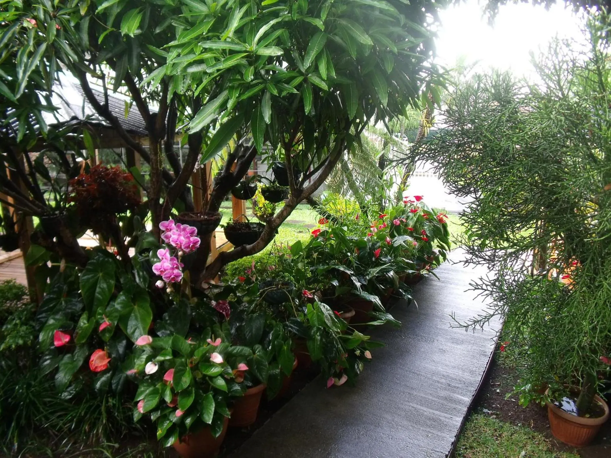 Garden view in Les Agapanthes