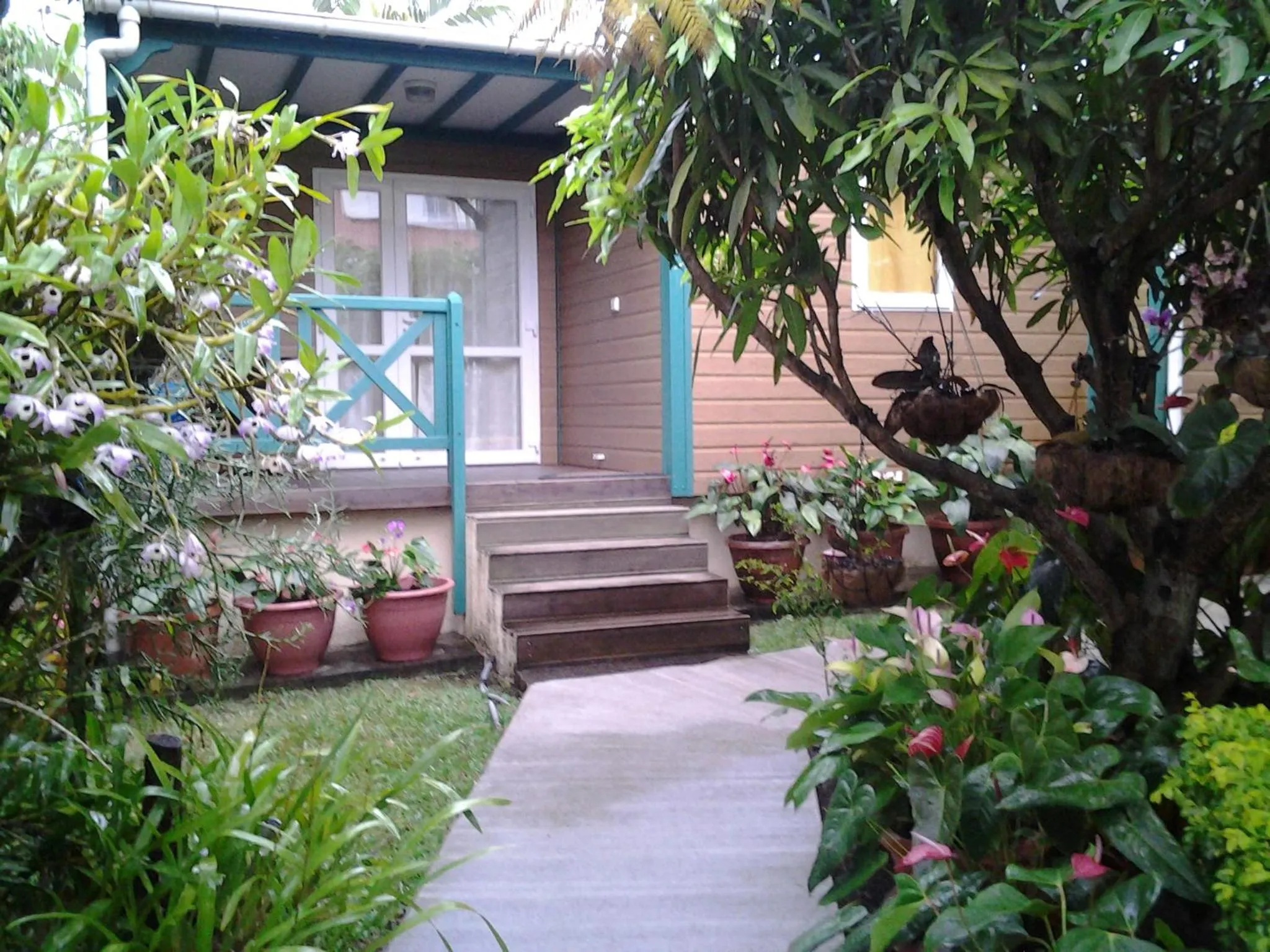 Garden view in Les Agapanthes