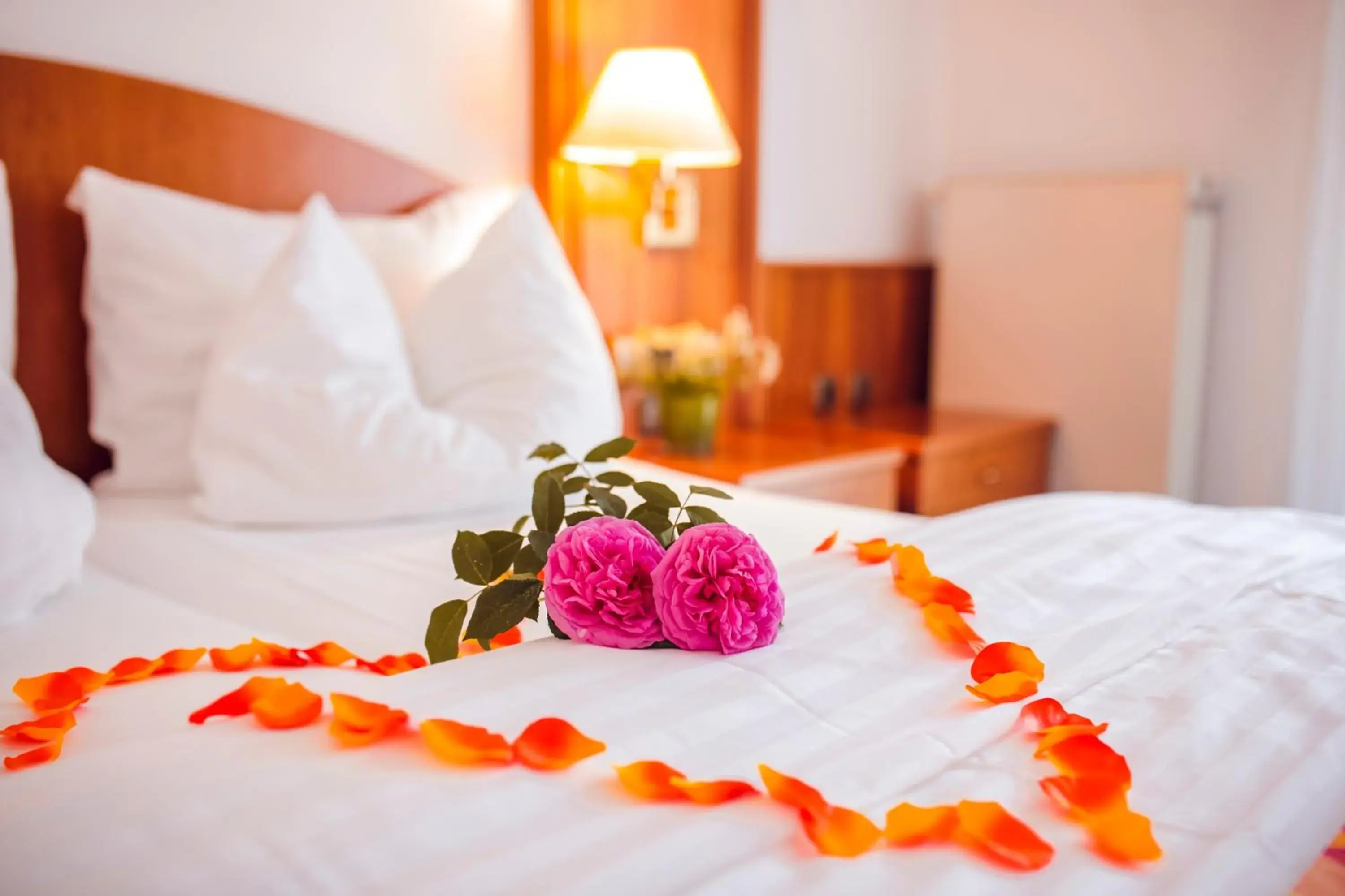 Deluxe Single Room with Balcony in Hotel Fontana Deluxe Single Room with Balcony in Hotel Fontana