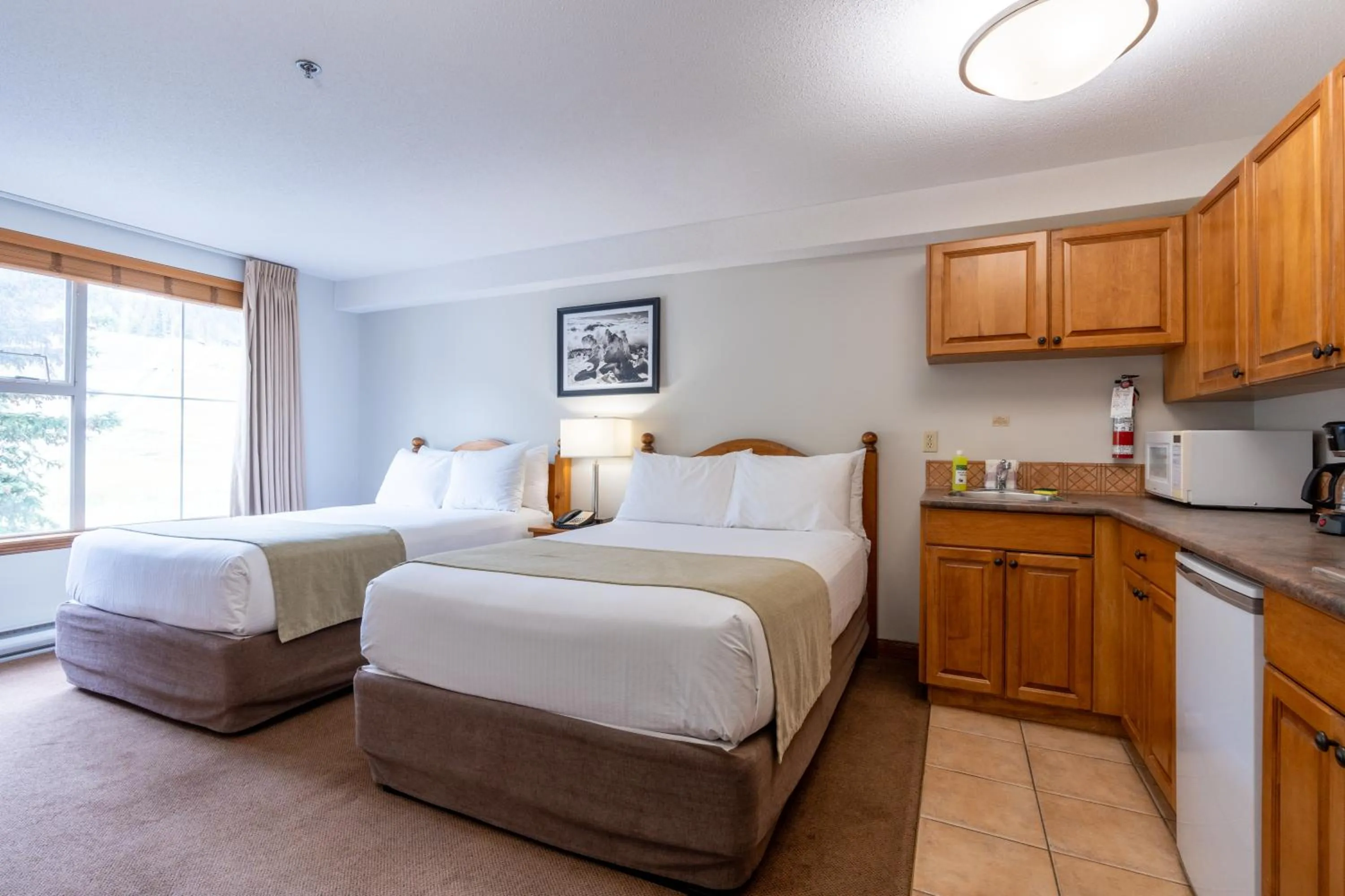 Photo of the whole room, Bed in Sundance Lodge