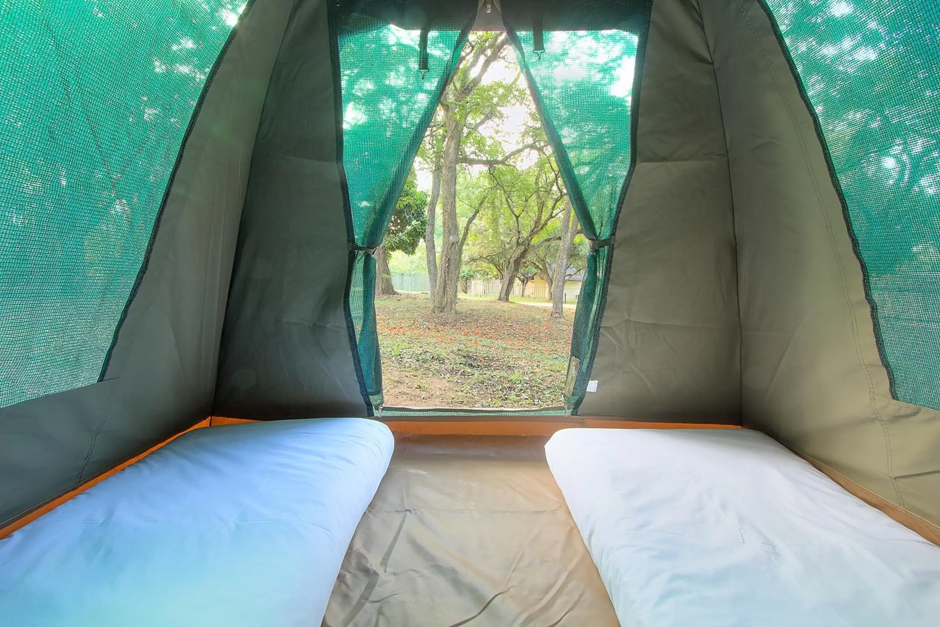 Tent - single occupancy in Kruger Adventure Lodge Tent - single occupancy in Kruger Adventure Lodge