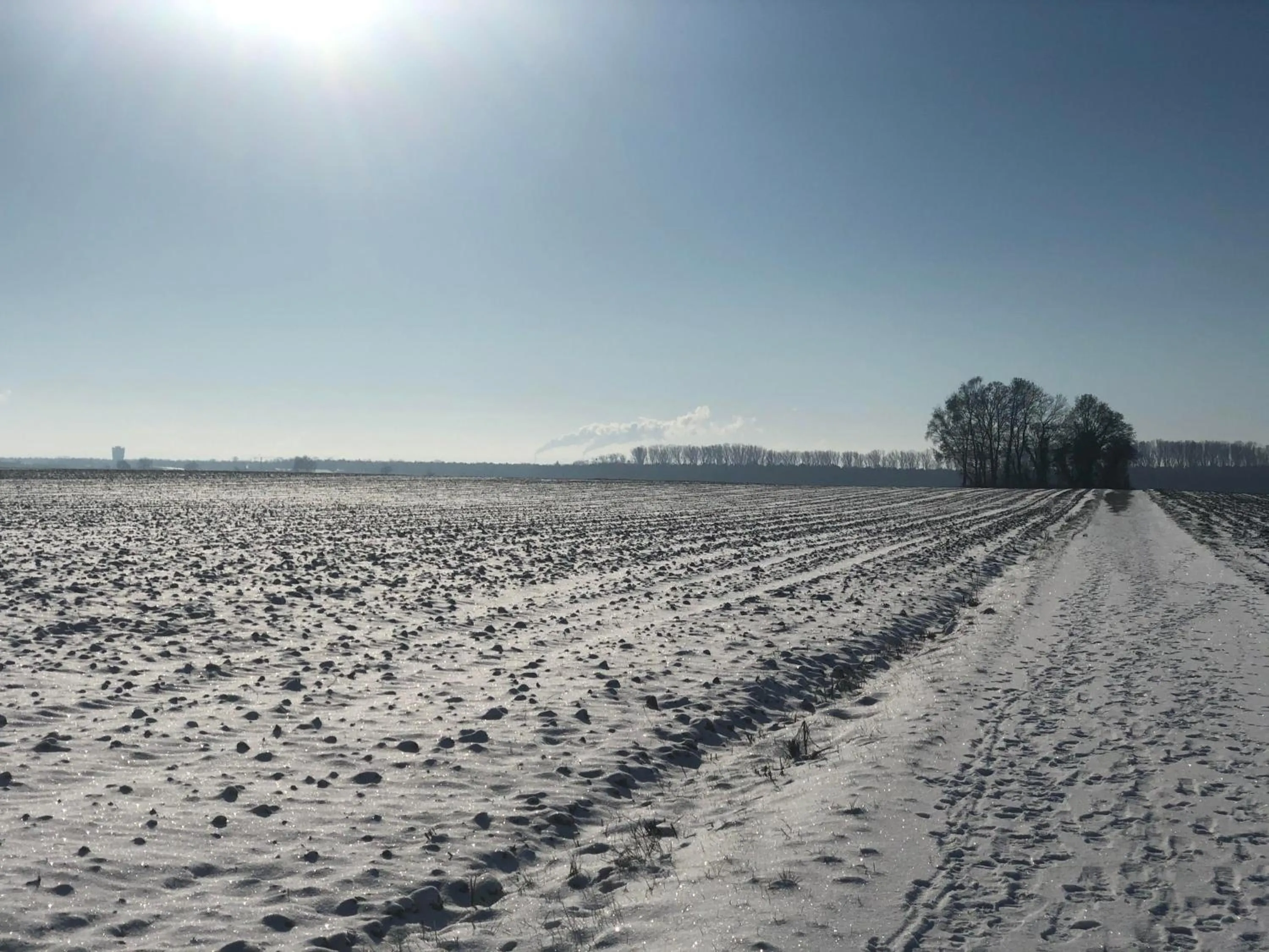 Natural landscape in Hotel Krone