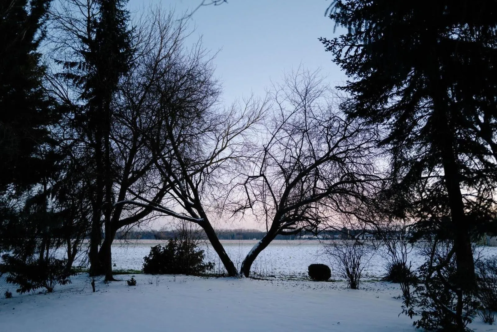 Natural landscape in Hotel Krone