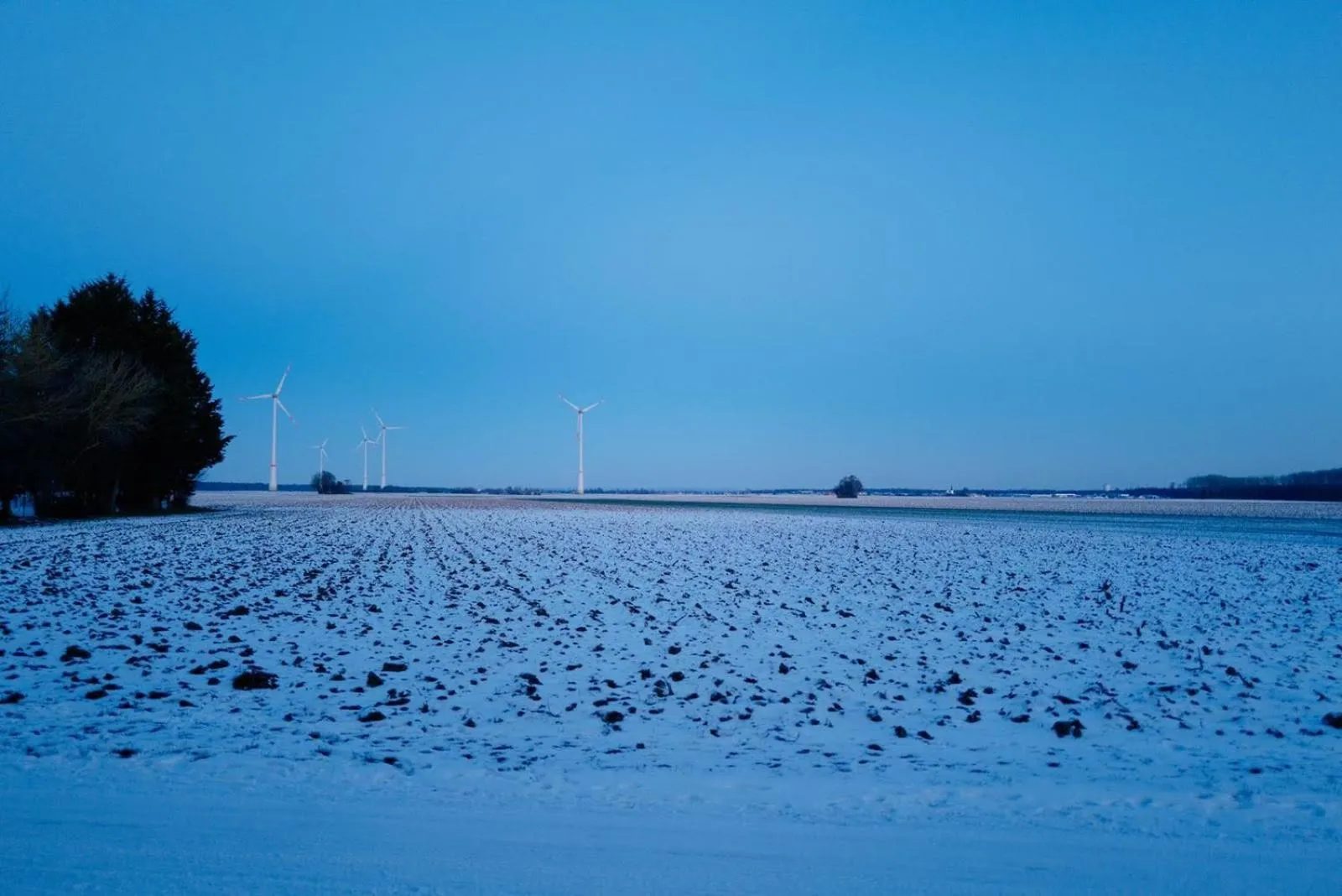 Natural landscape in Hotel Krone