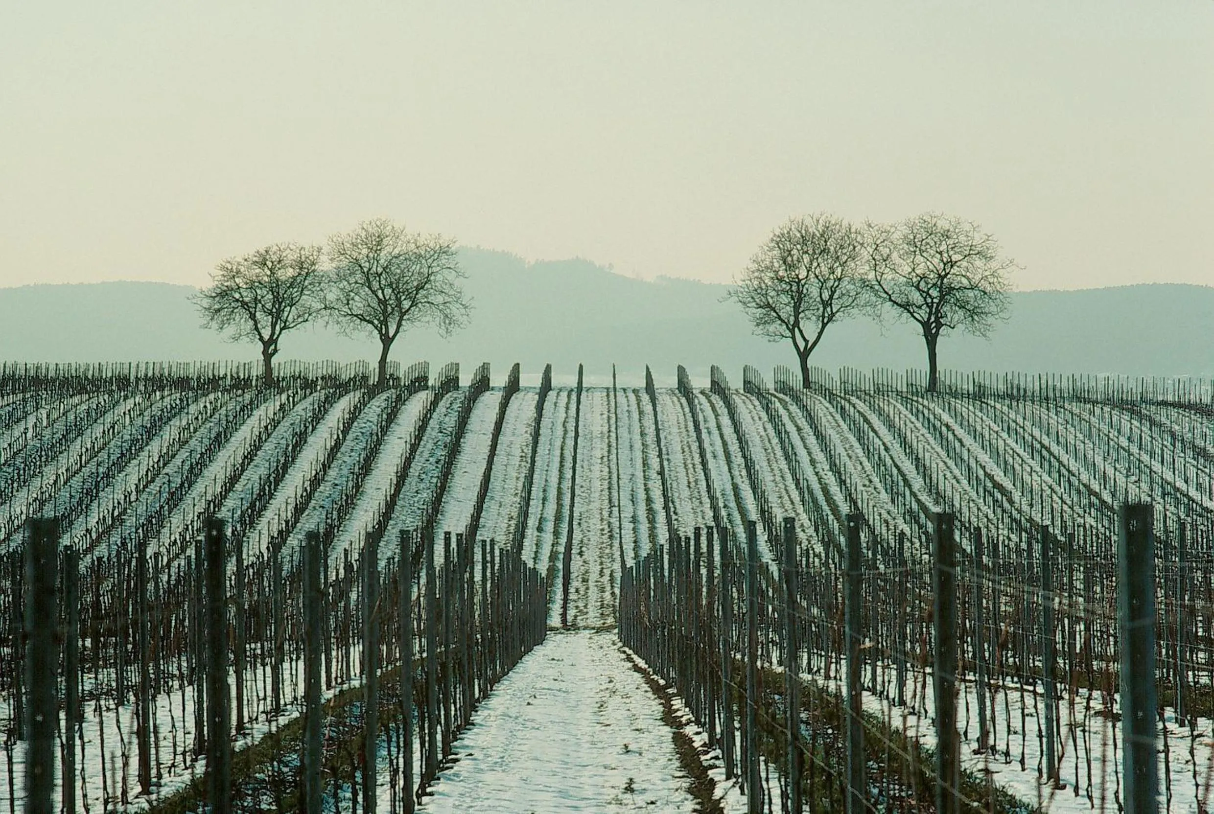 Hotel Restaurant Krone