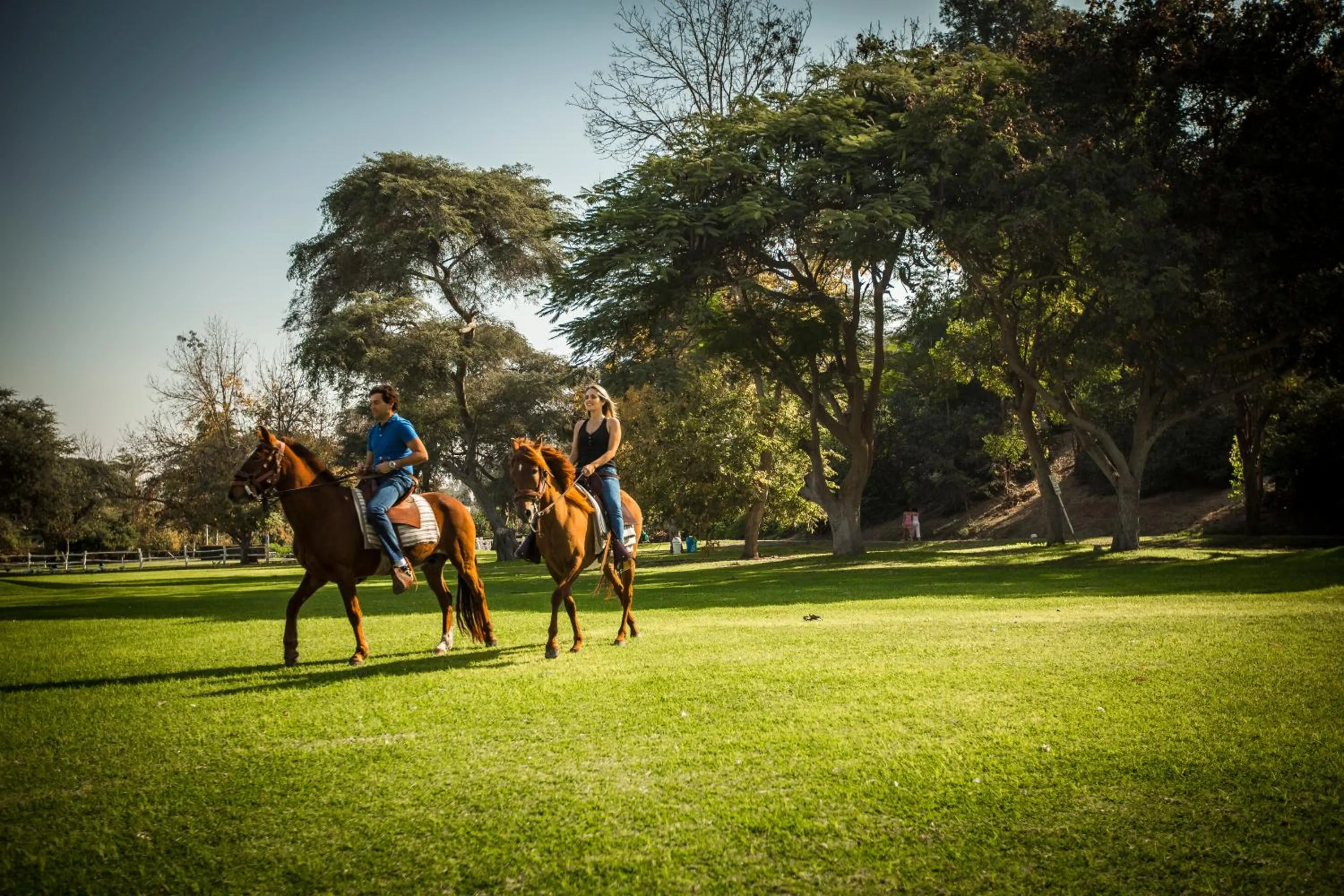 Entertainment in Hotel Las Dunas