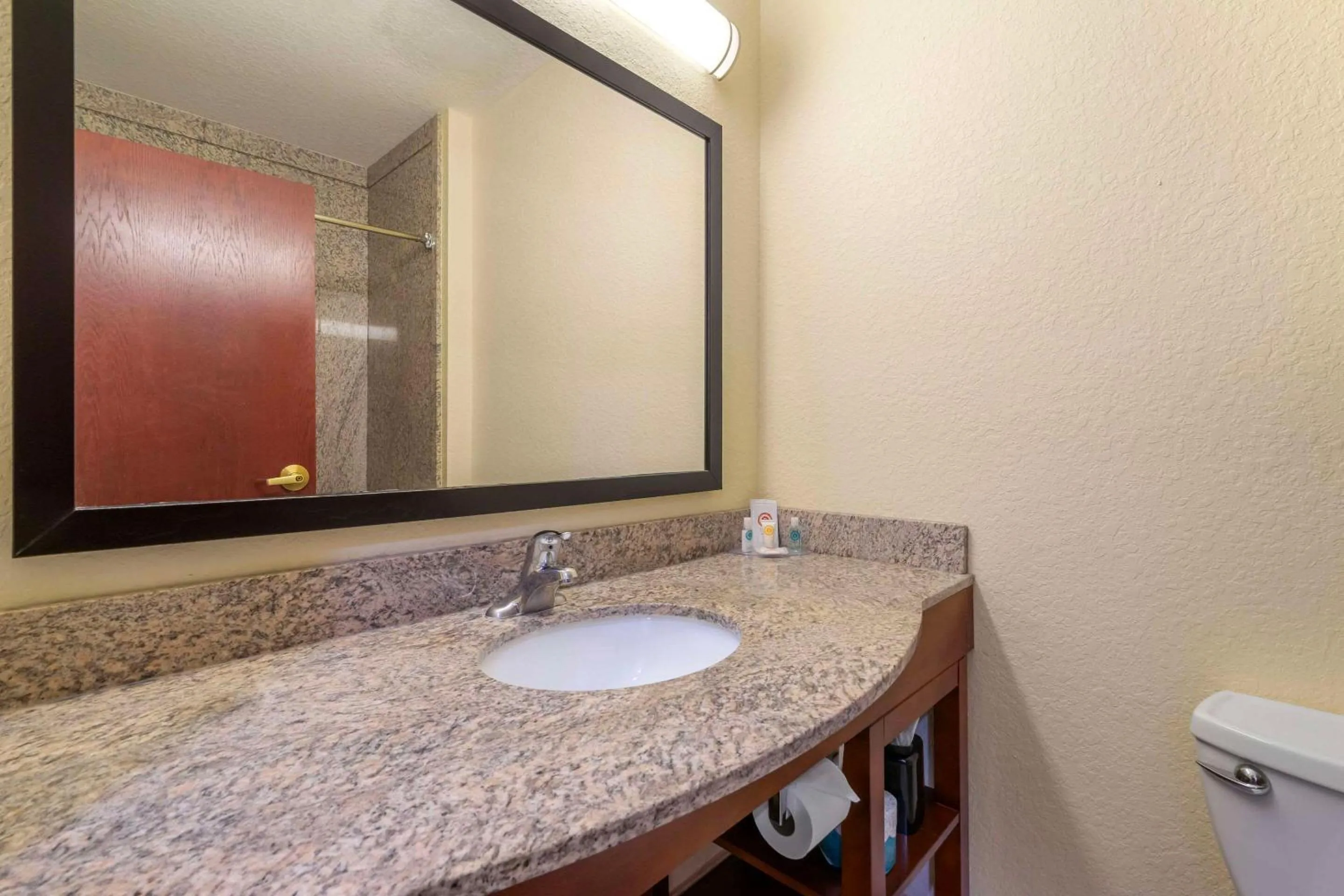 Bedroom in Comfort Inn & Suites Northeast - Gateway