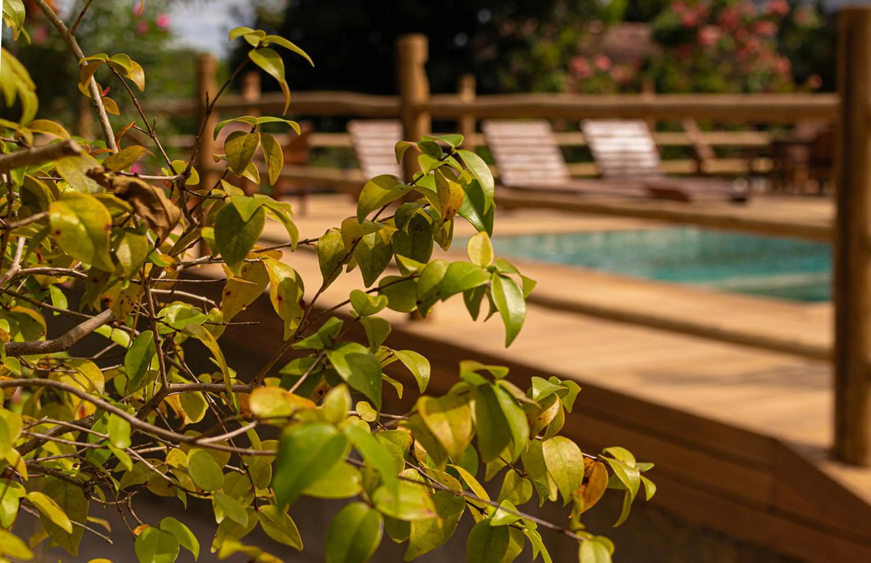Swimming pool in Pousada Encantos de Arraial
