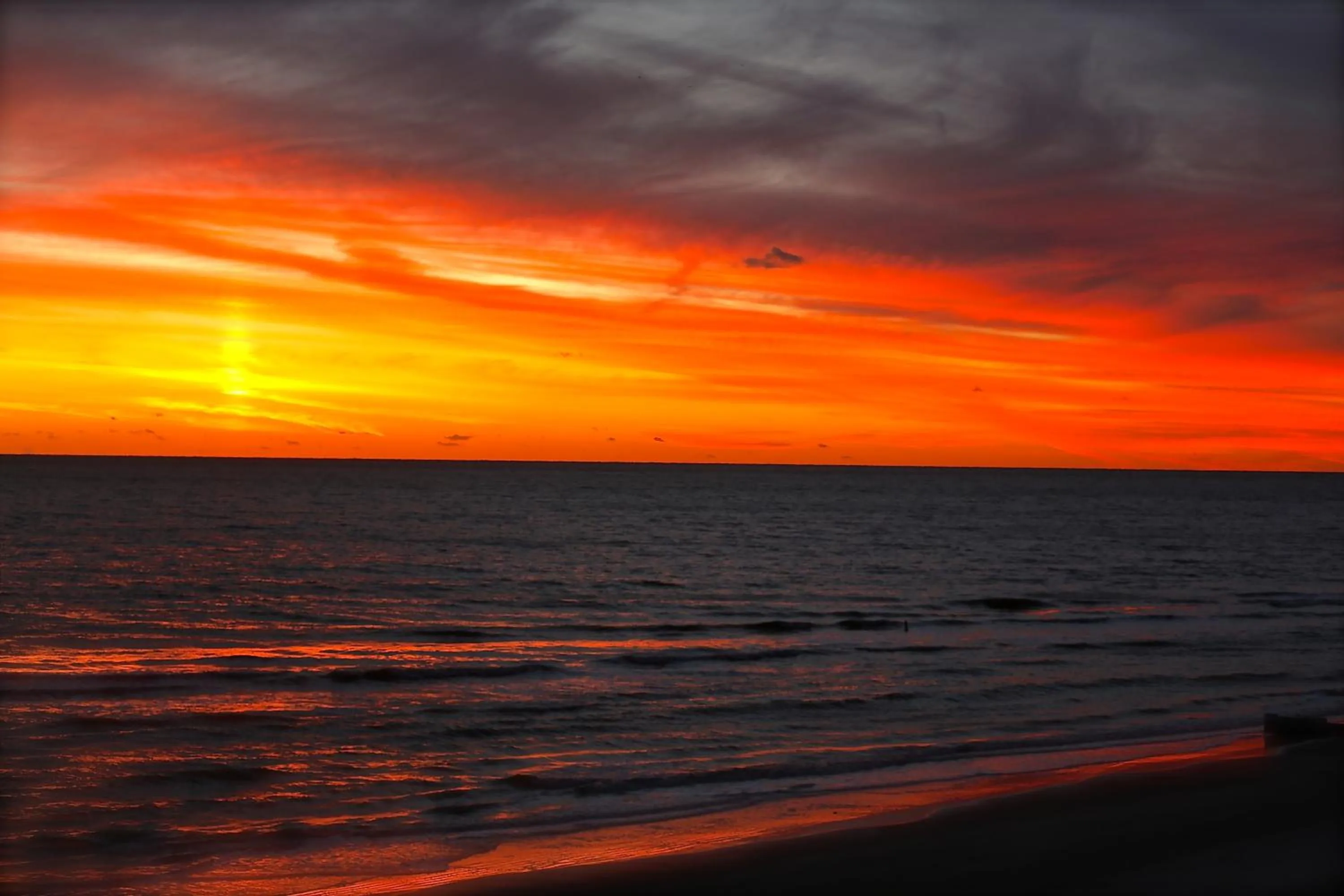 View (from property/room) in Shoreline Island Resort - Exclusively Adult