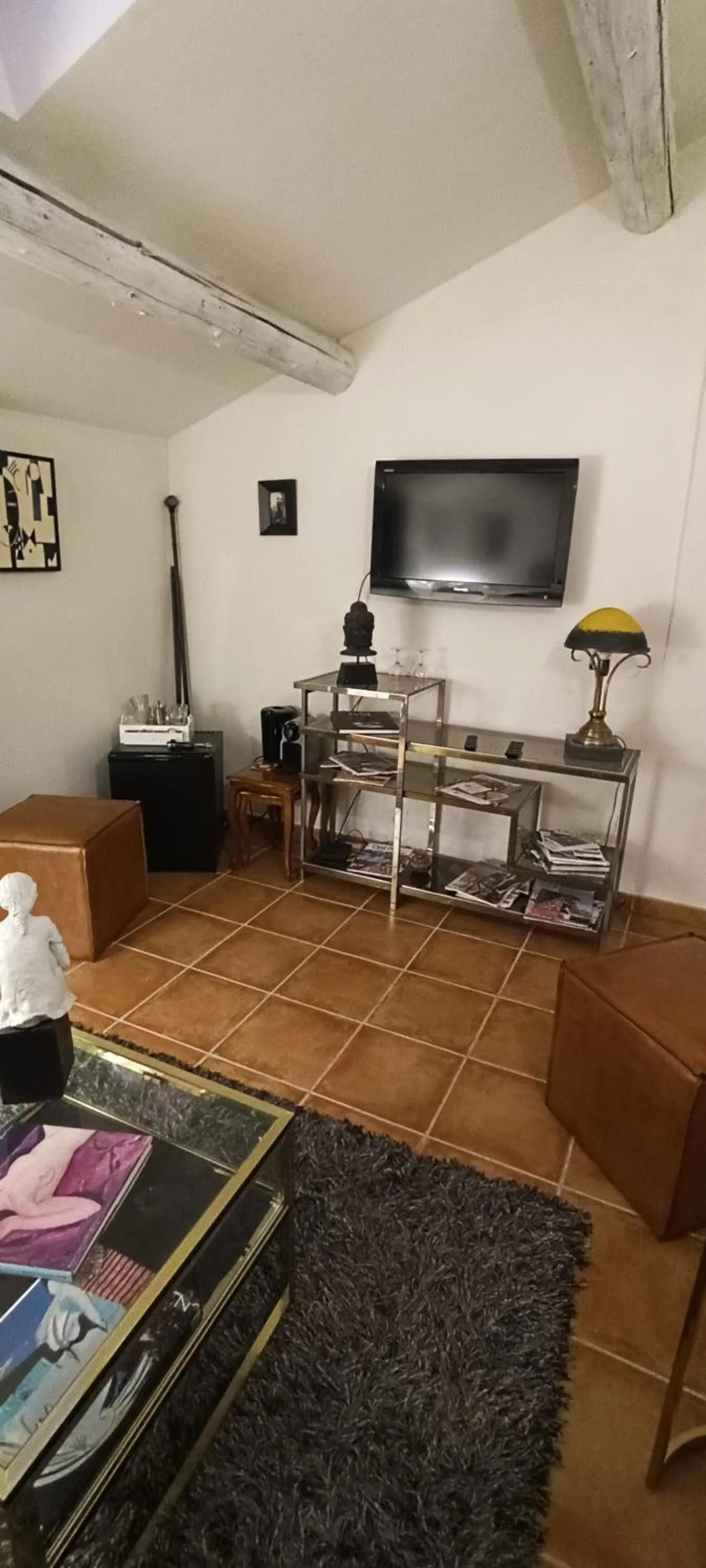 TV and multimedia in Chambre d'hôtes du Mas de Longuefeuille