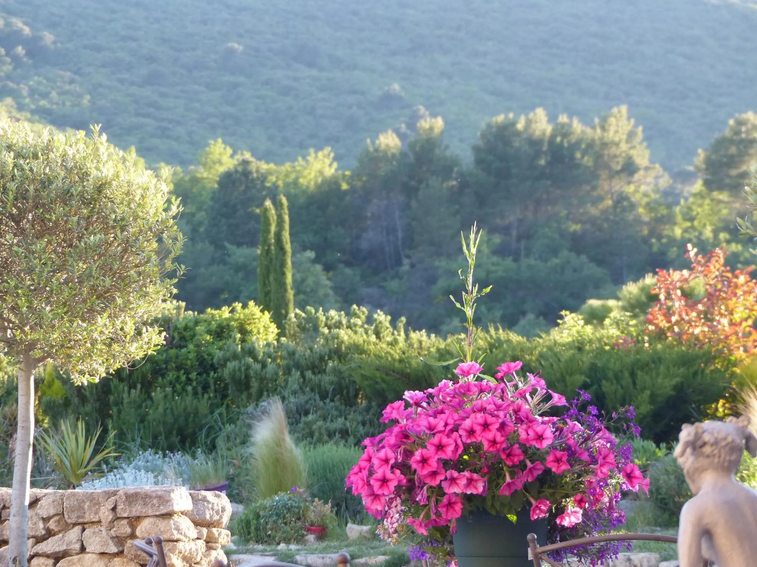 Garden in Chambre d'hôtes du Mas de Longuefeuille