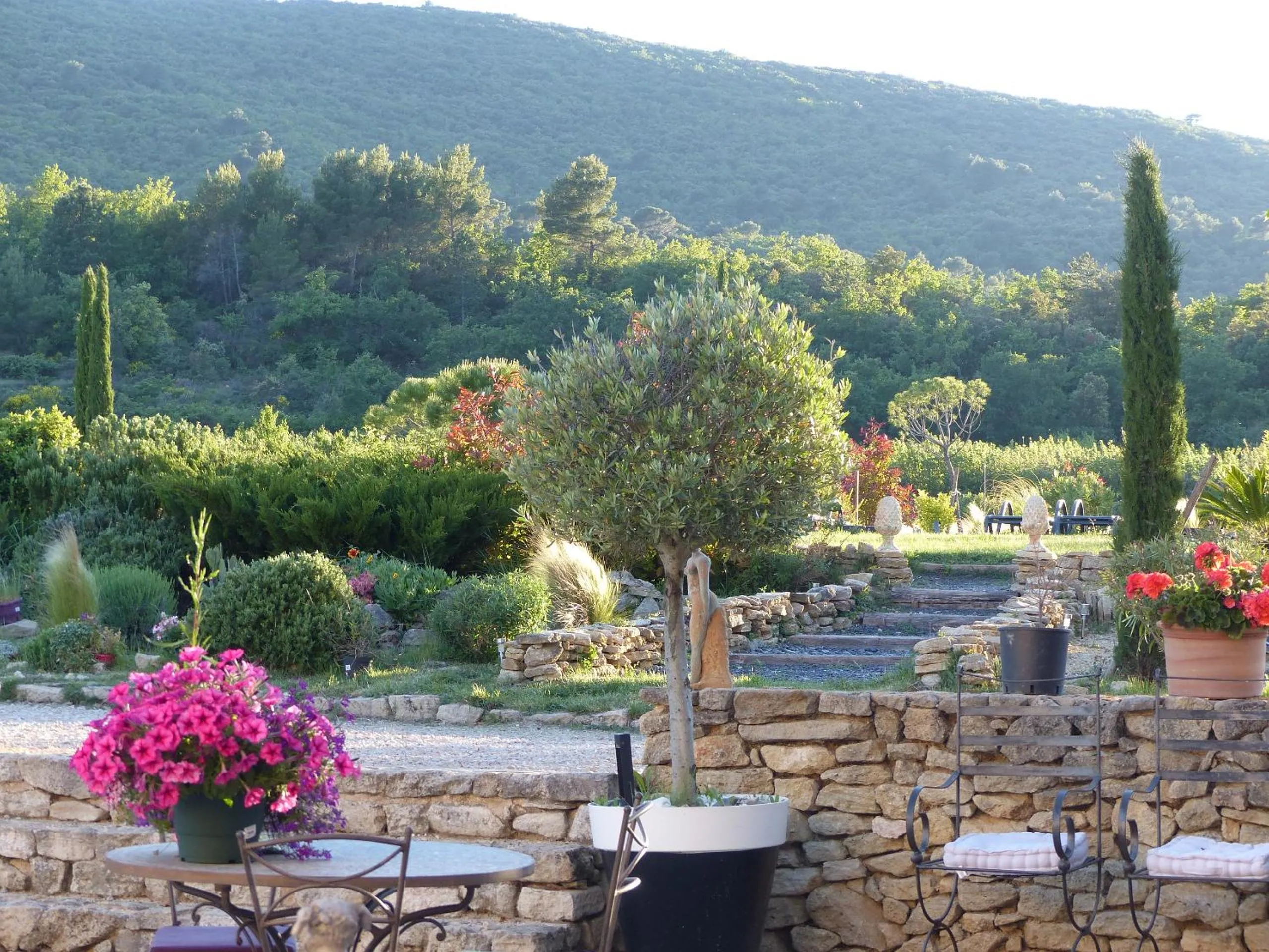 Garden in Chambre d'hôtes du Mas de Longuefeuille