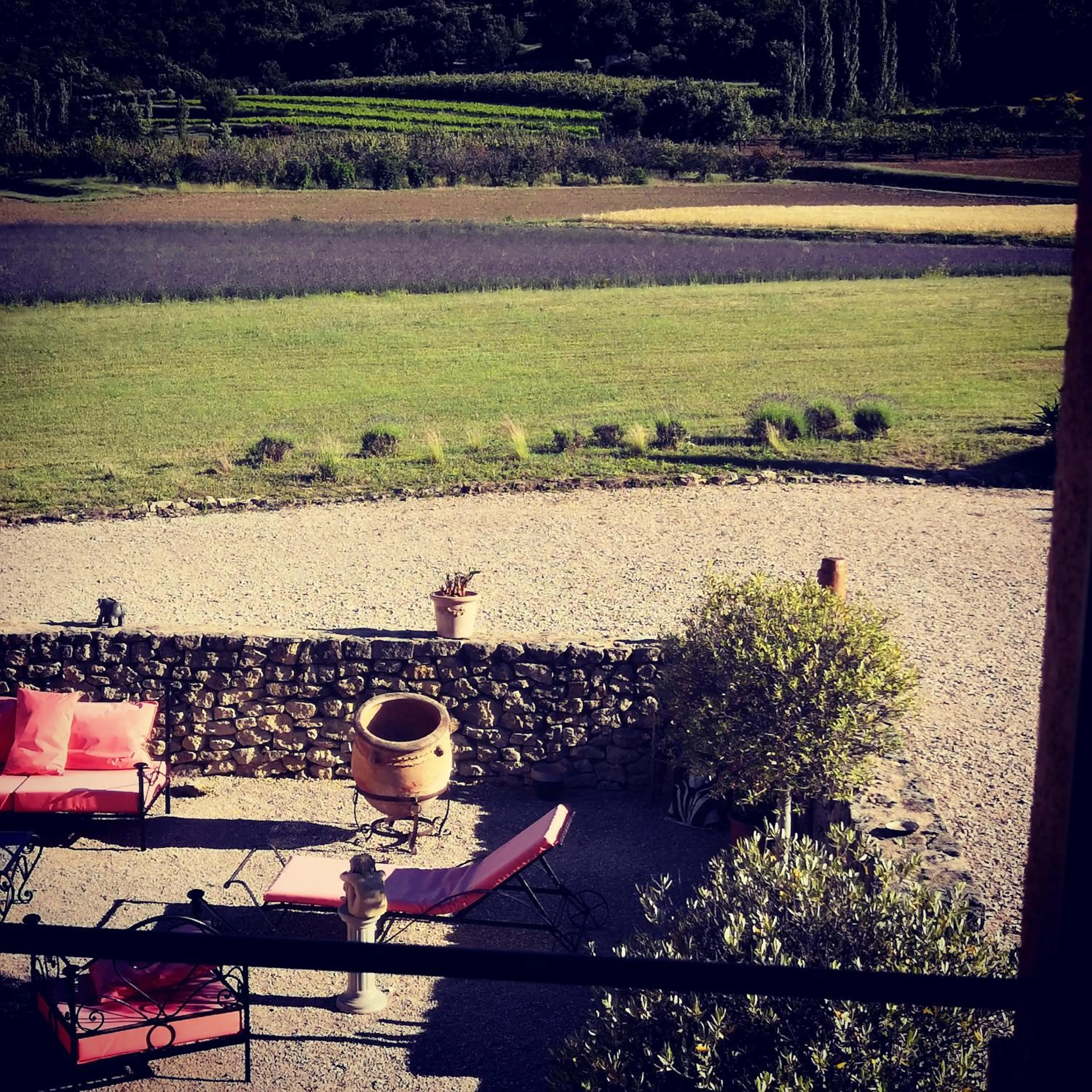 Garden view in Chambre d'hôtes du Mas de Longuefeuille