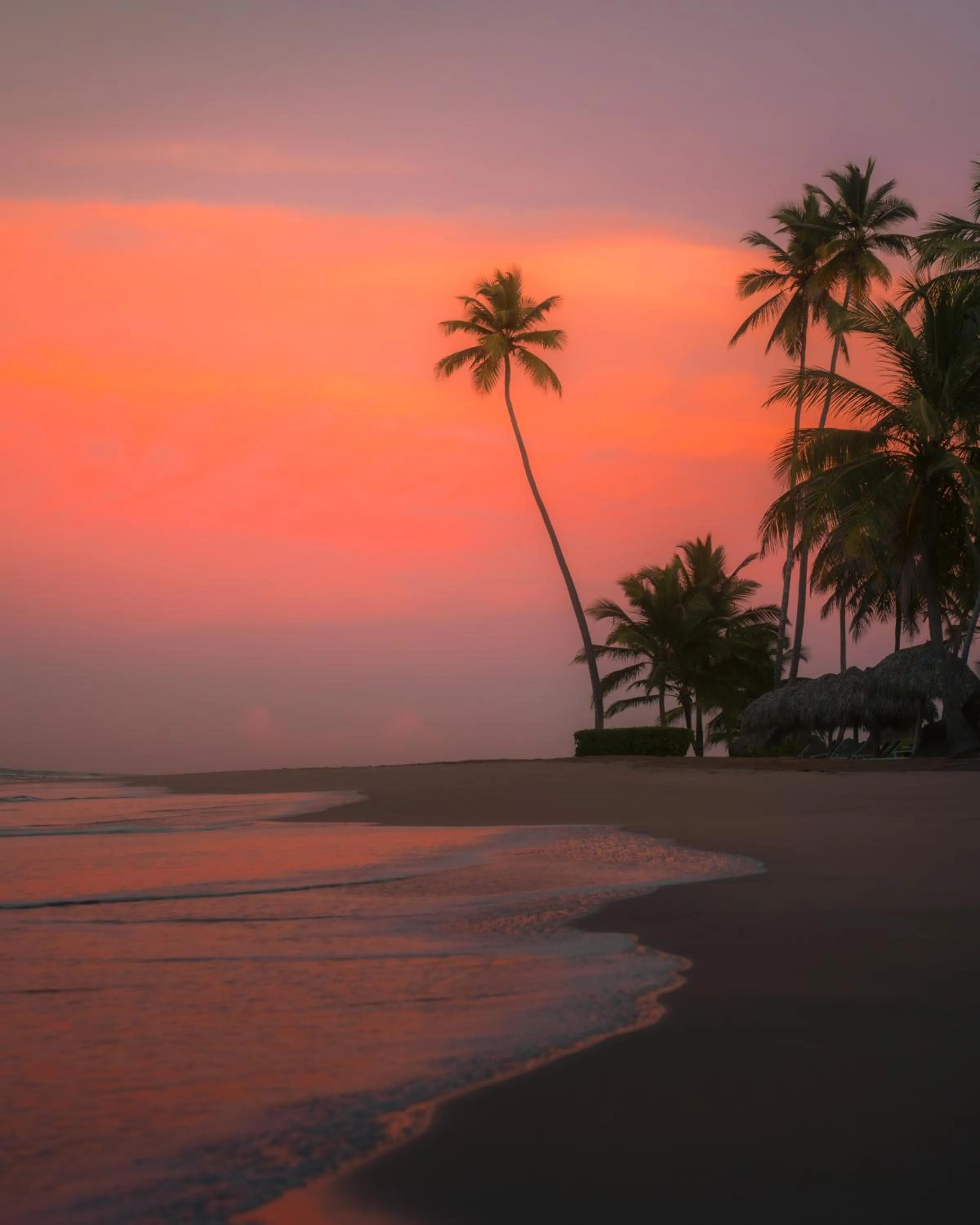 Beach in Zoetry Agua Punta Cana - All Inclusive