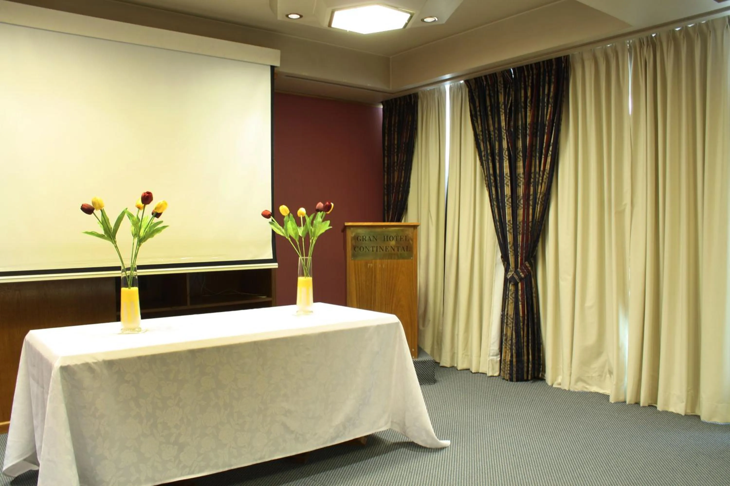 Business facilities in Gran Hotel Continental