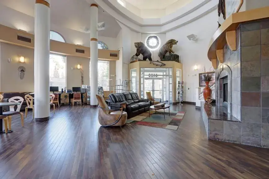 Lobby or reception in Puffin Inn Lobby or reception in Puffin Inn