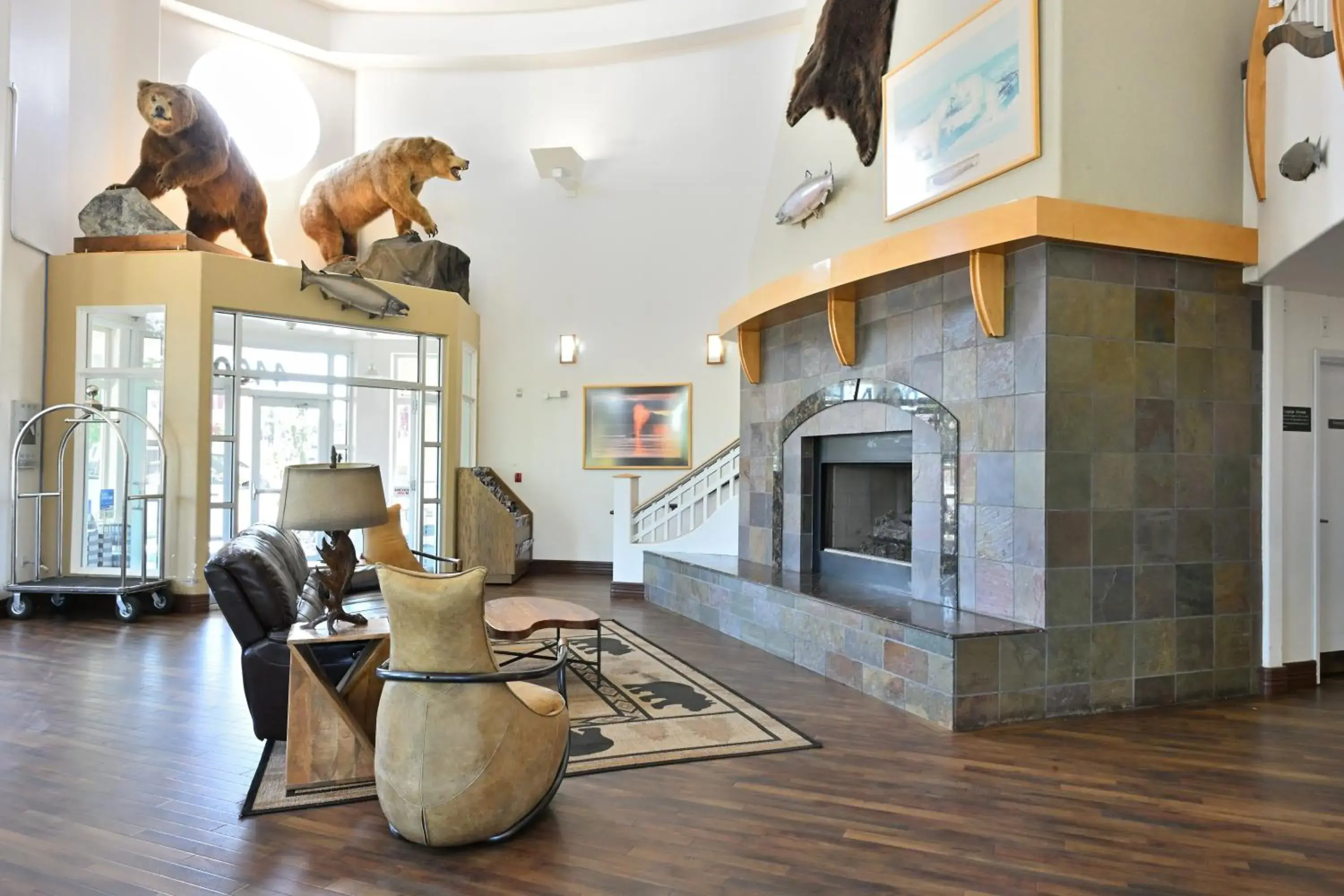 Lobby or reception in Puffin Inn Lobby or reception in Puffin Inn