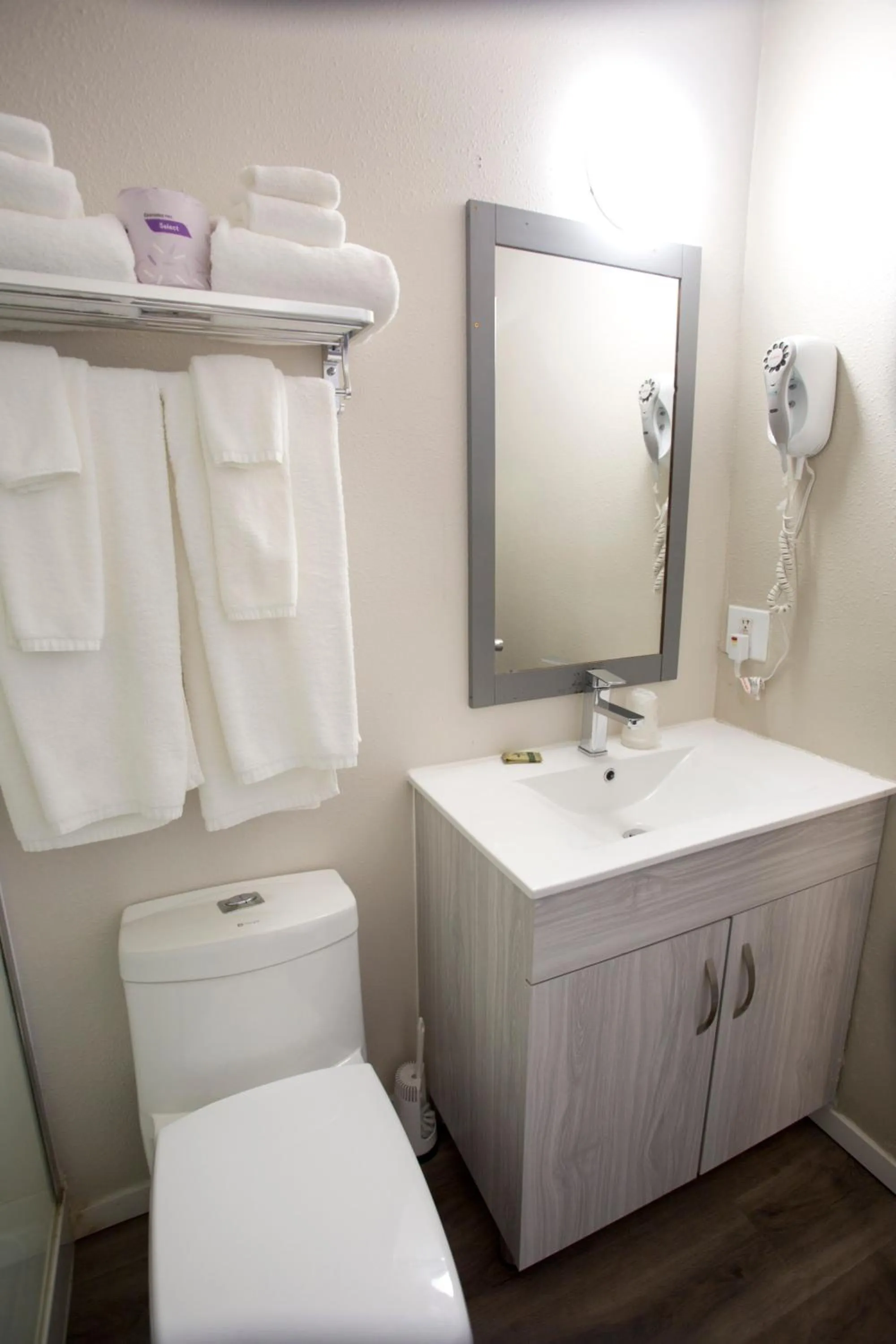 Bathroom in Valemount Vacation Inn