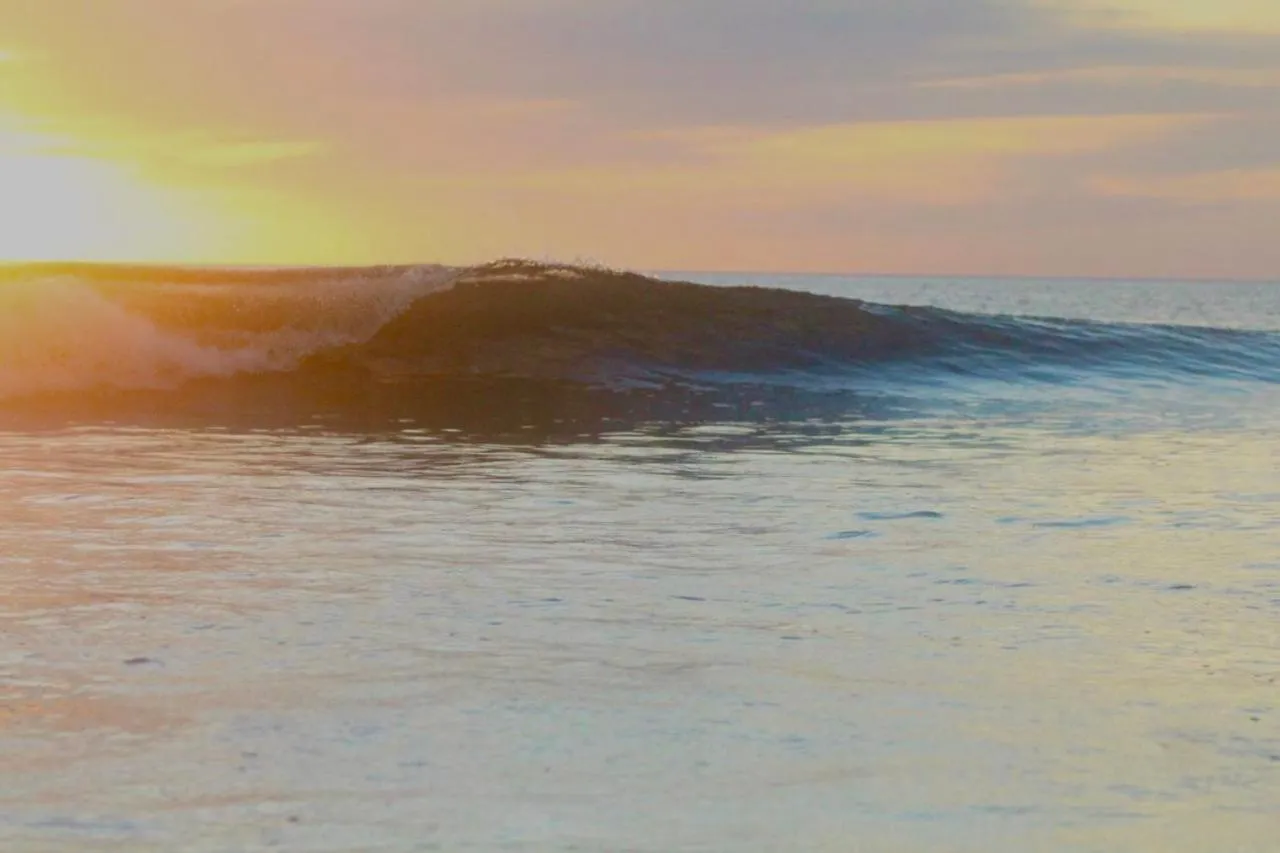 Natural landscape in La Veranera, Playa El Coco