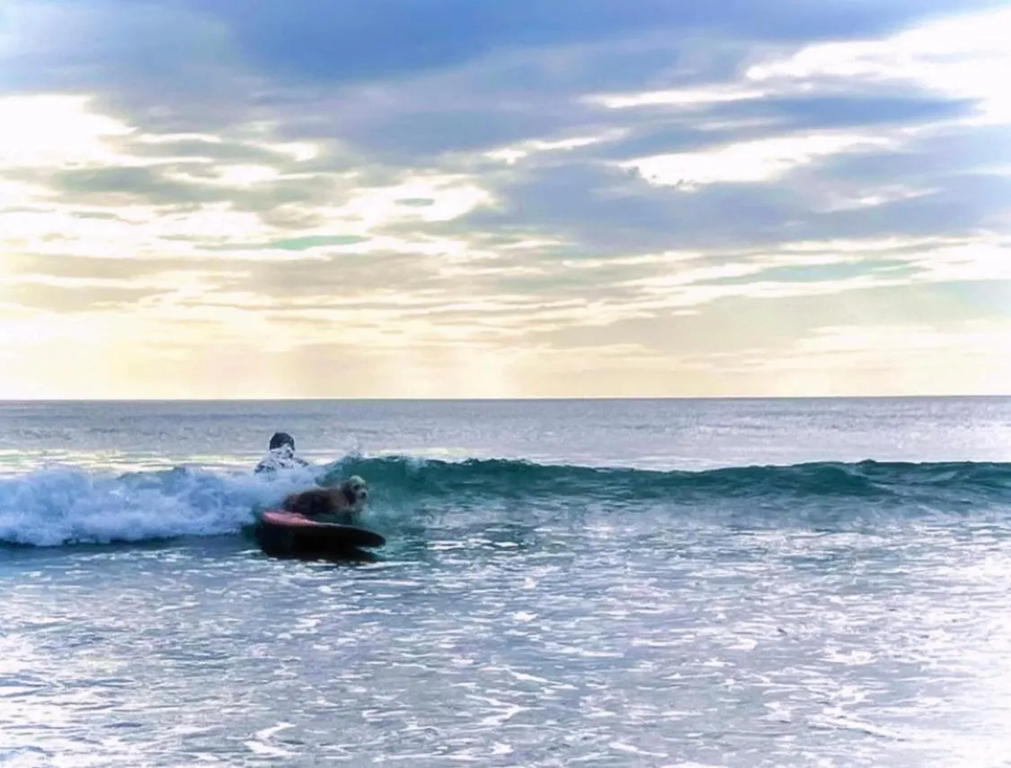 Activities in La Veranera, Playa El Coco