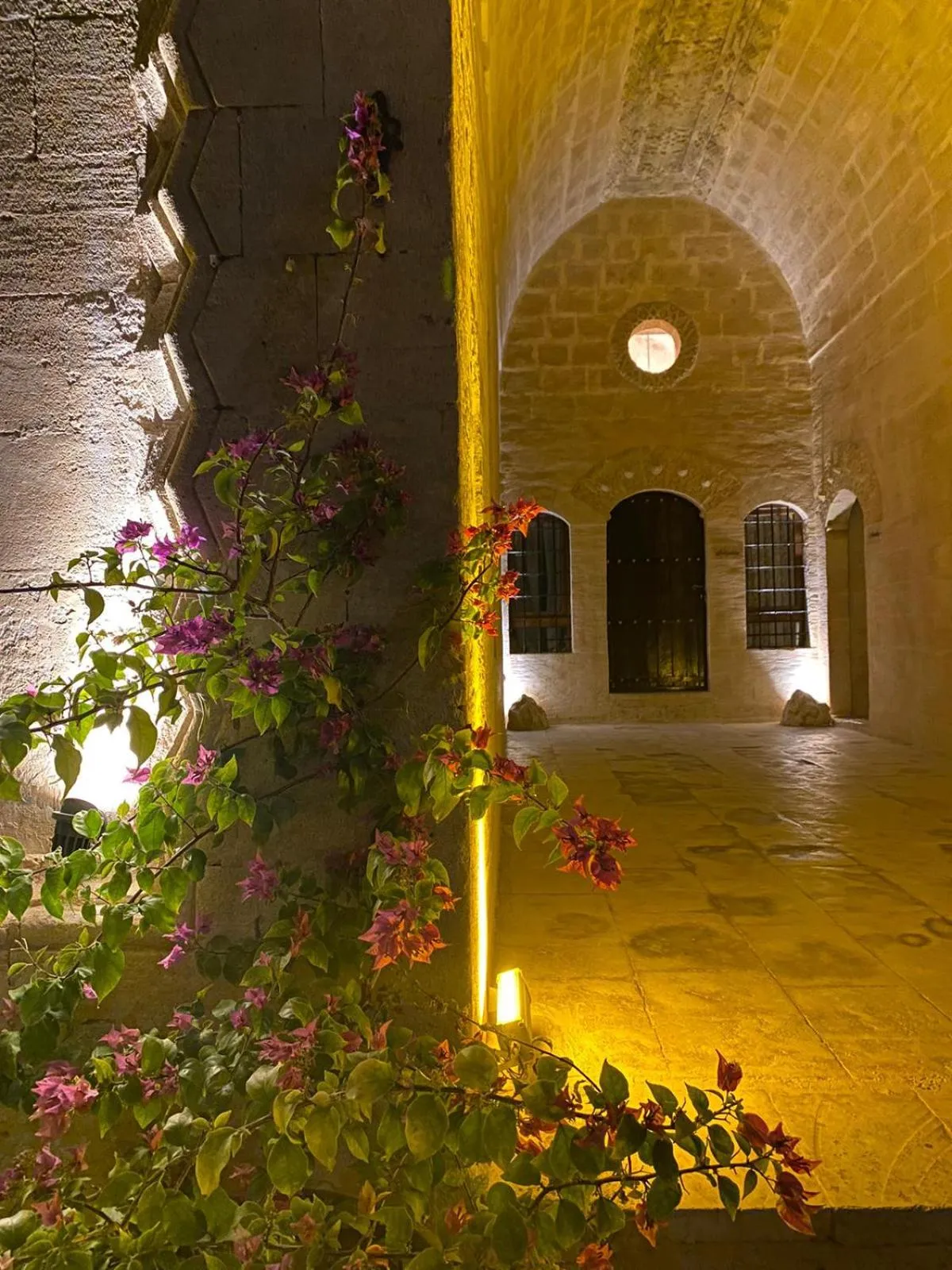 Property building in Dara Konagı