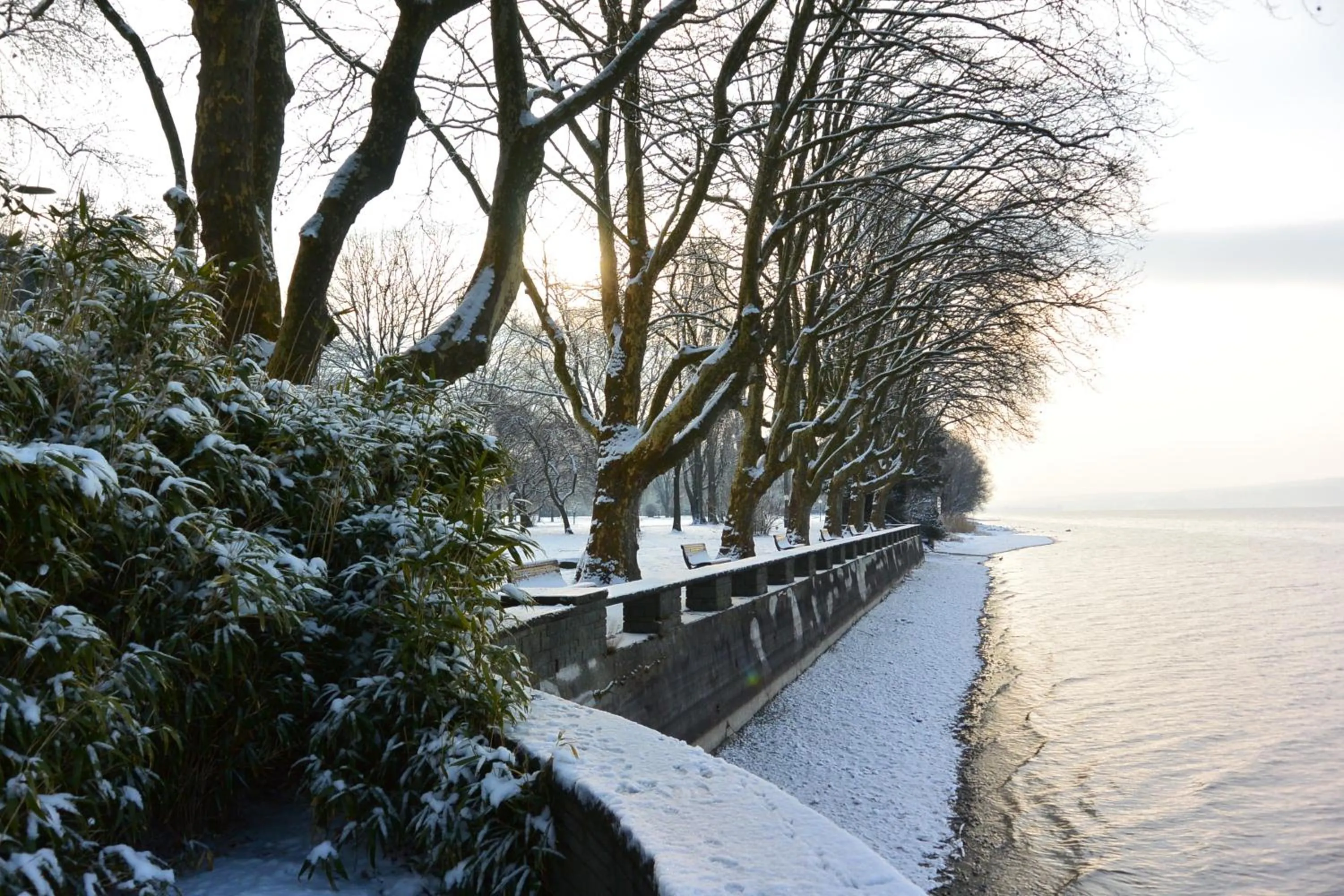 Area and facilities in Iris am See garni