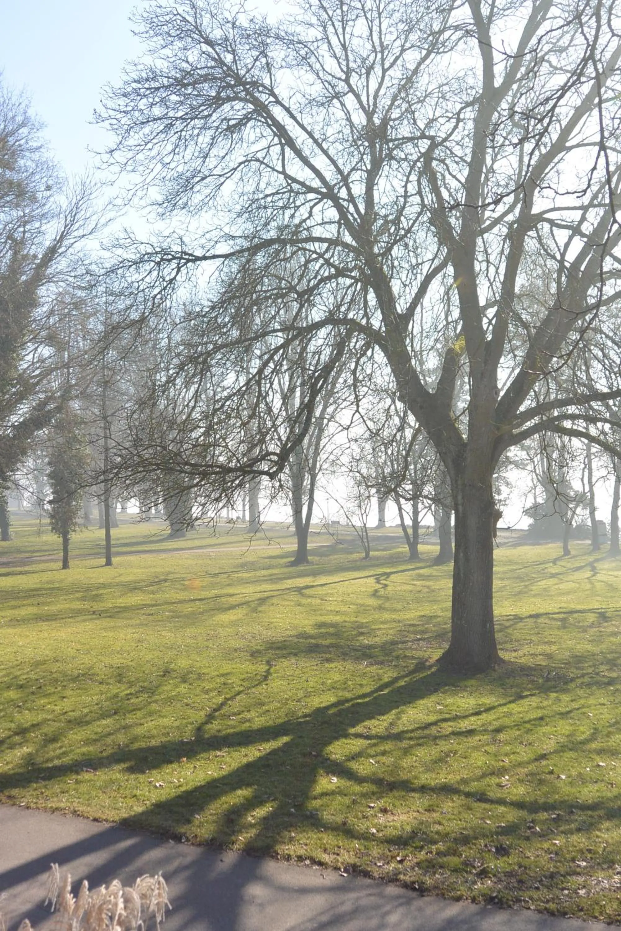 Natural landscape in Iris am See garni