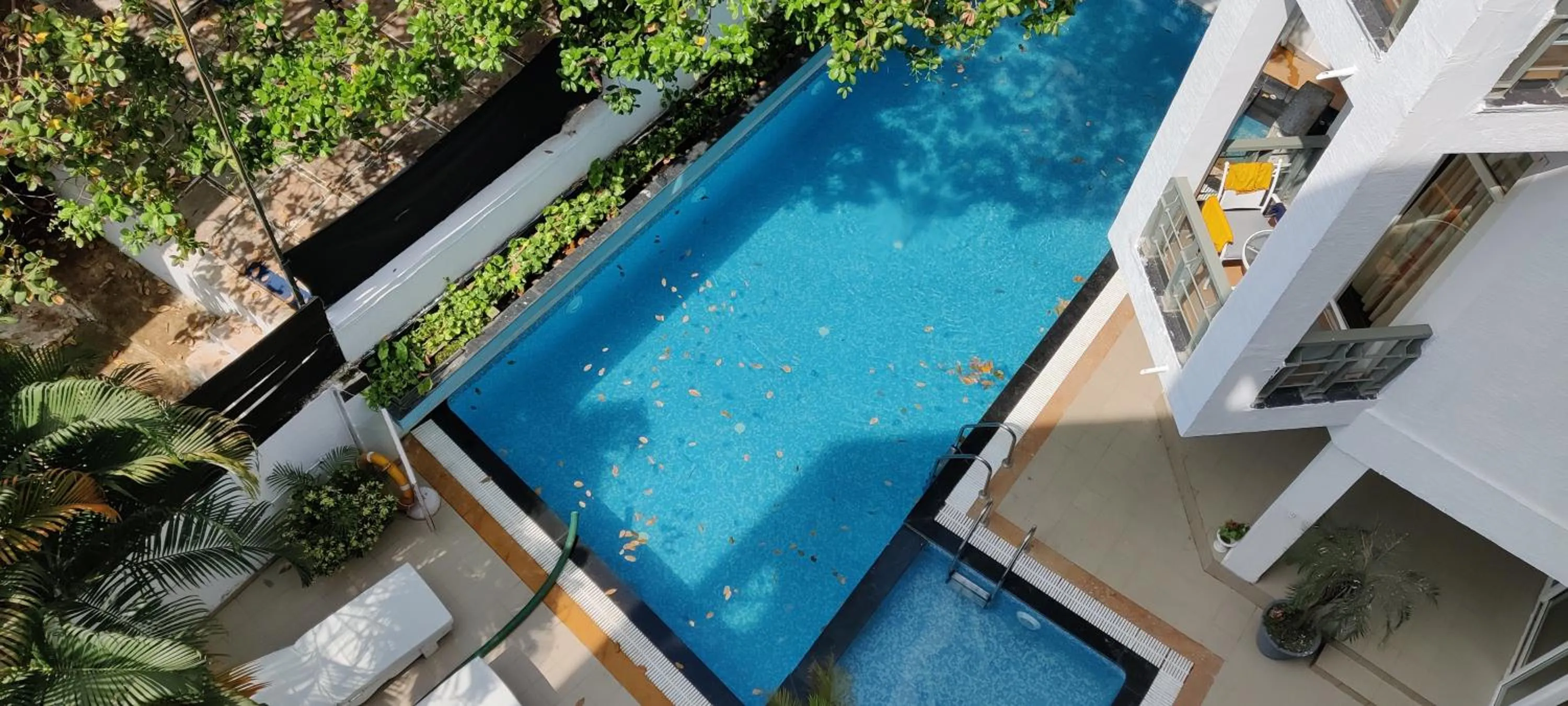 Pool View in Living Room by Seasons, Goa