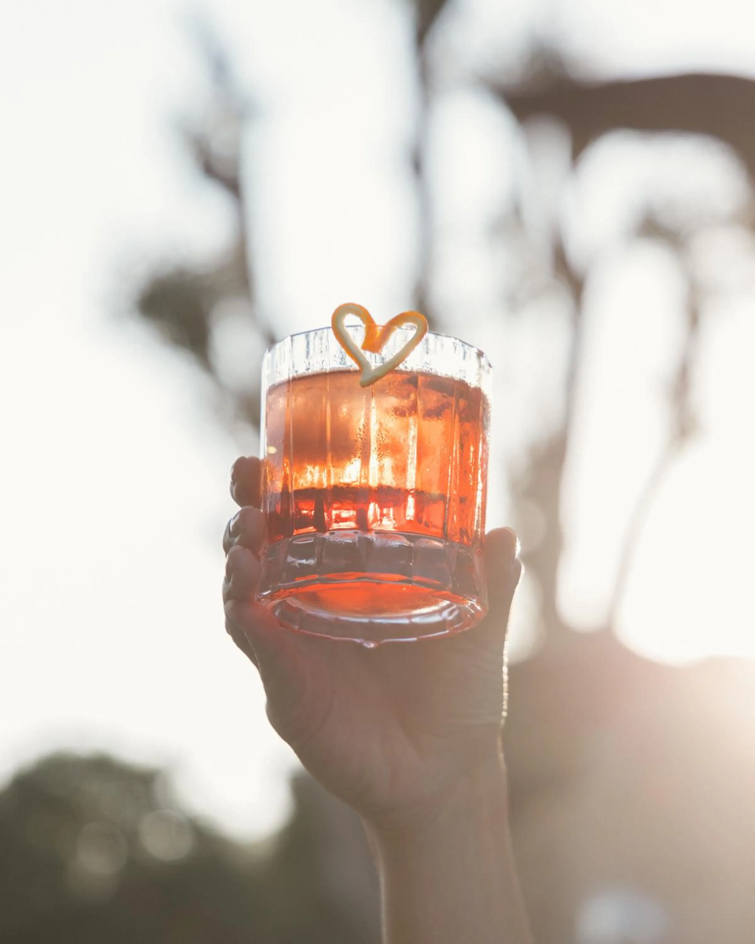 Drinks in Albatros Club Mykonos