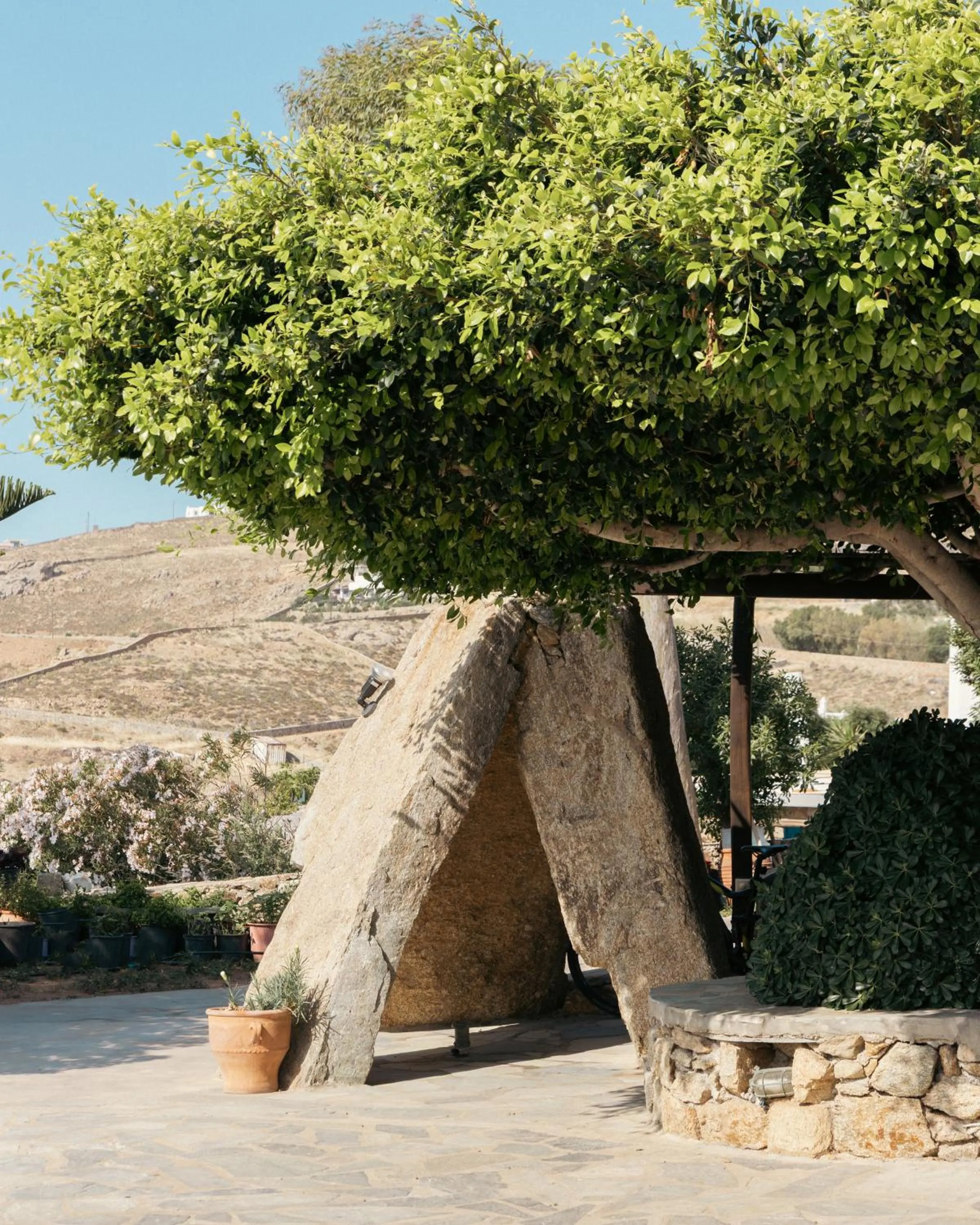 Day in Albatros Club Mykonos