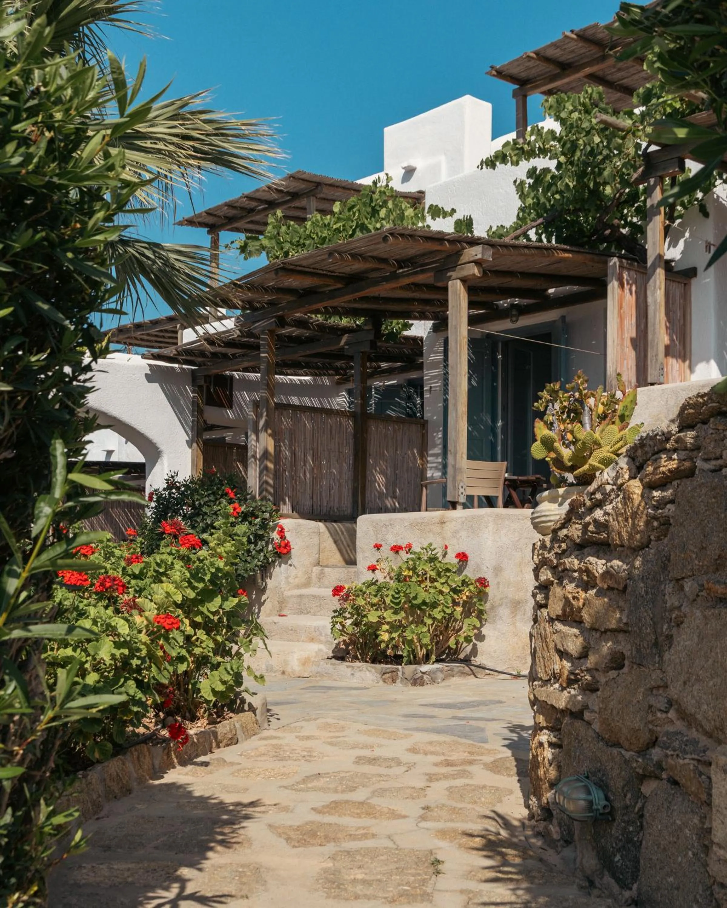 Day in Albatros Club Mykonos