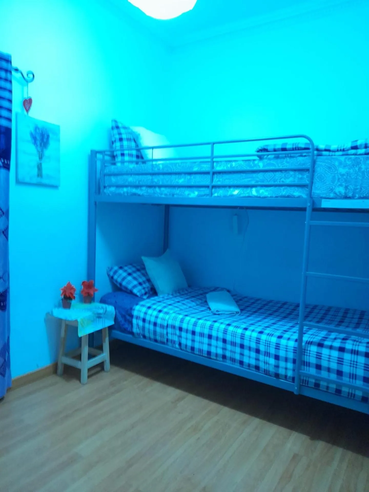 Bed in Garden Guest House