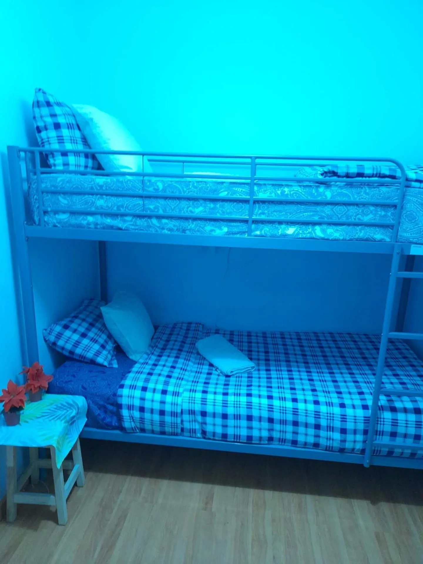 Bed in Garden Guest House