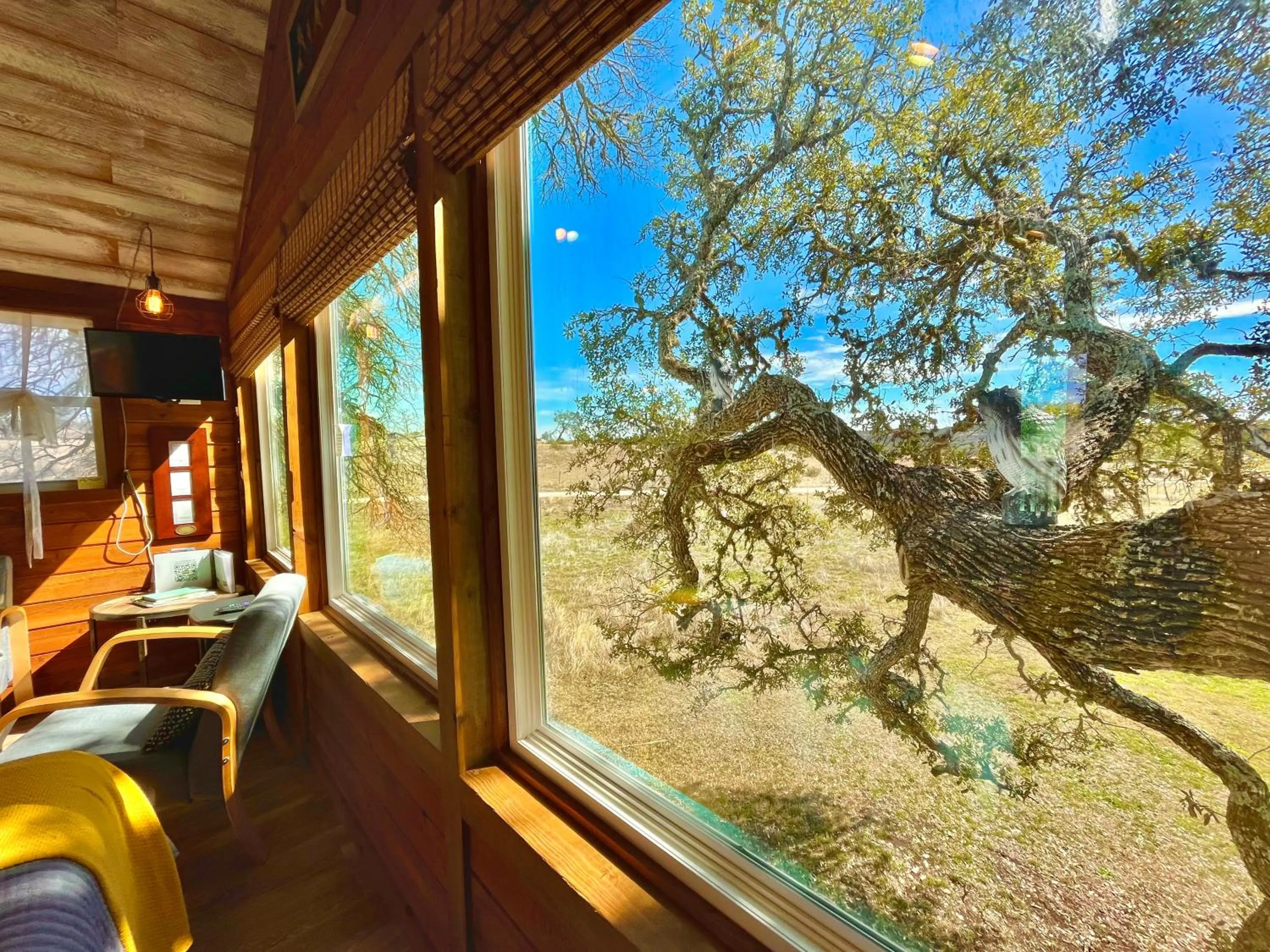 Natural landscape in The Alexander at Creek Road