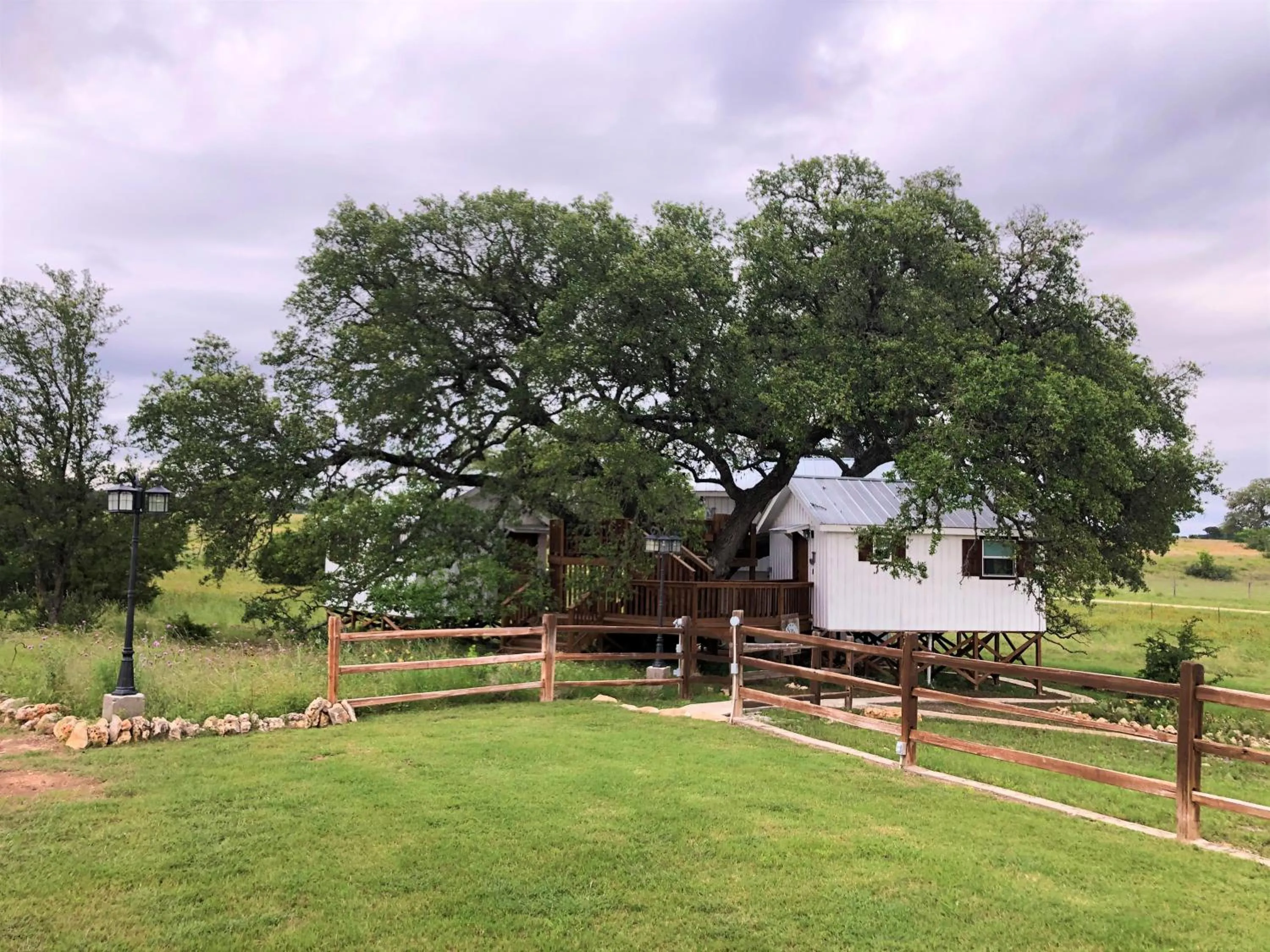 Natural landscape in The Alexander at Creek Road