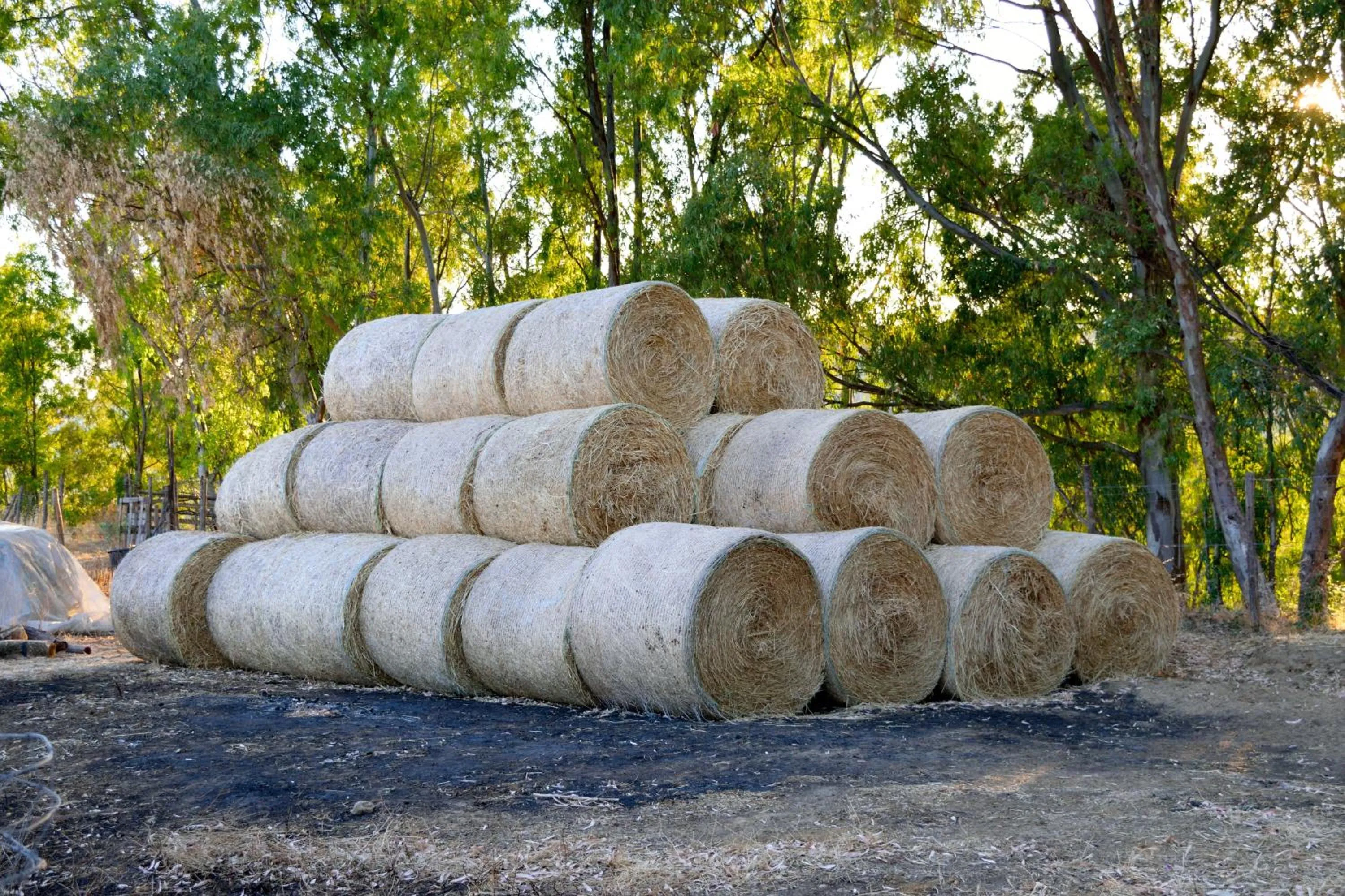 Agriturismo Vecchia Masseria Charme&Relax