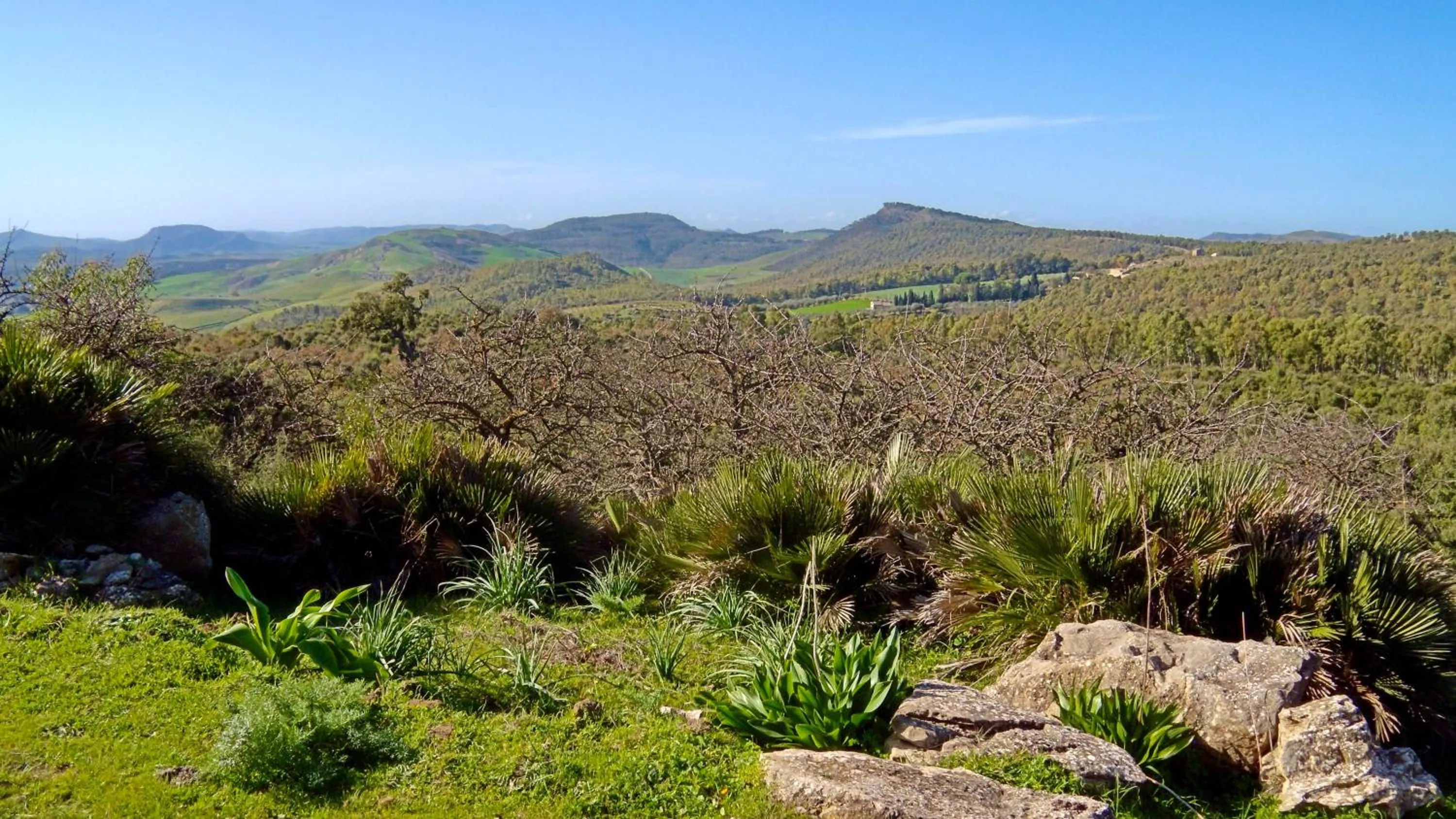 Agriturismo Vecchia Masseria Charme&Relax