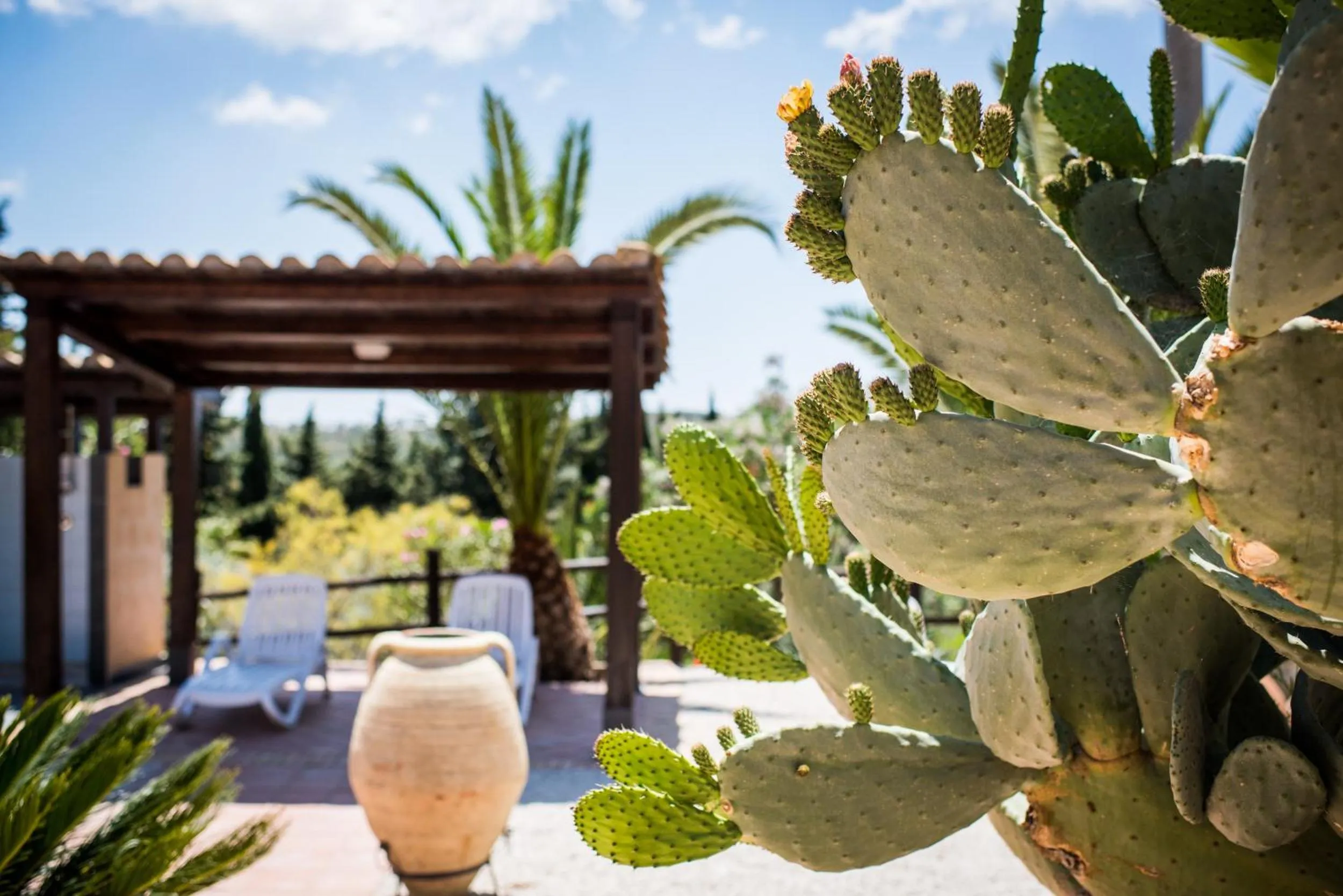 Agriturismo Vecchia Masseria Charme&Relax