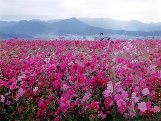 Nearby landmark in Shirakabako View Hotel