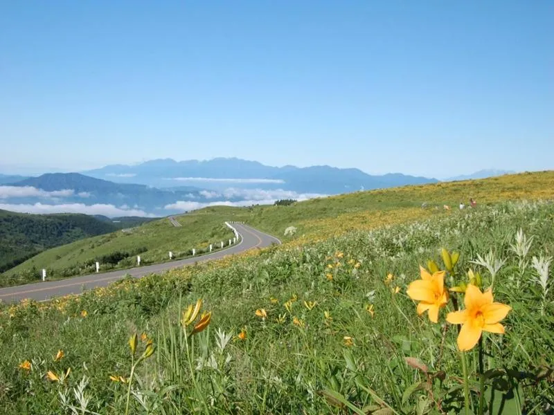 Natural landscape in Shirakabako View Hotel