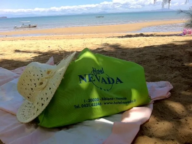 Other in Hotel Nevada