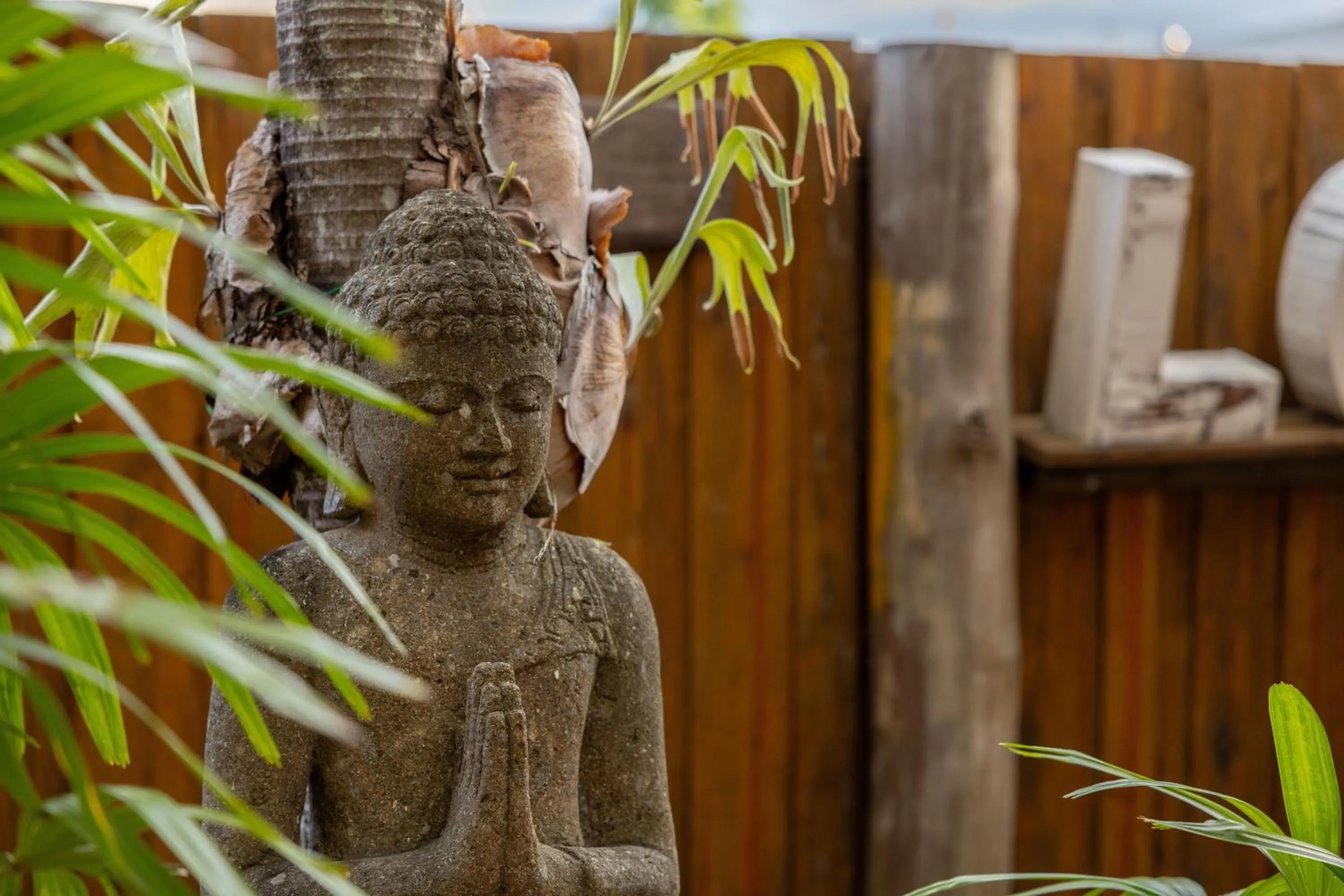 Natural landscape in Travellers Oasis