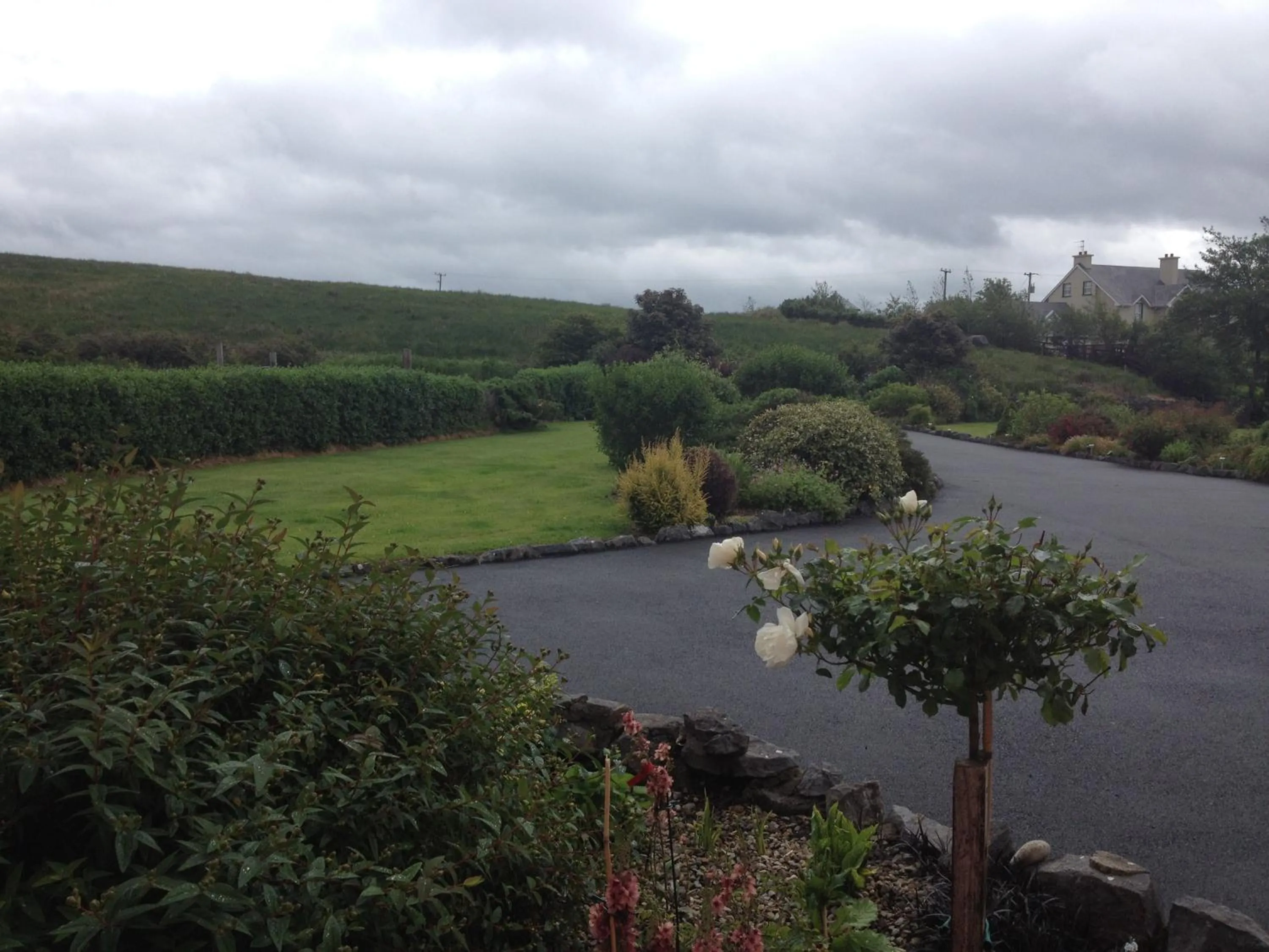 Garden in Greenlawn Lodge