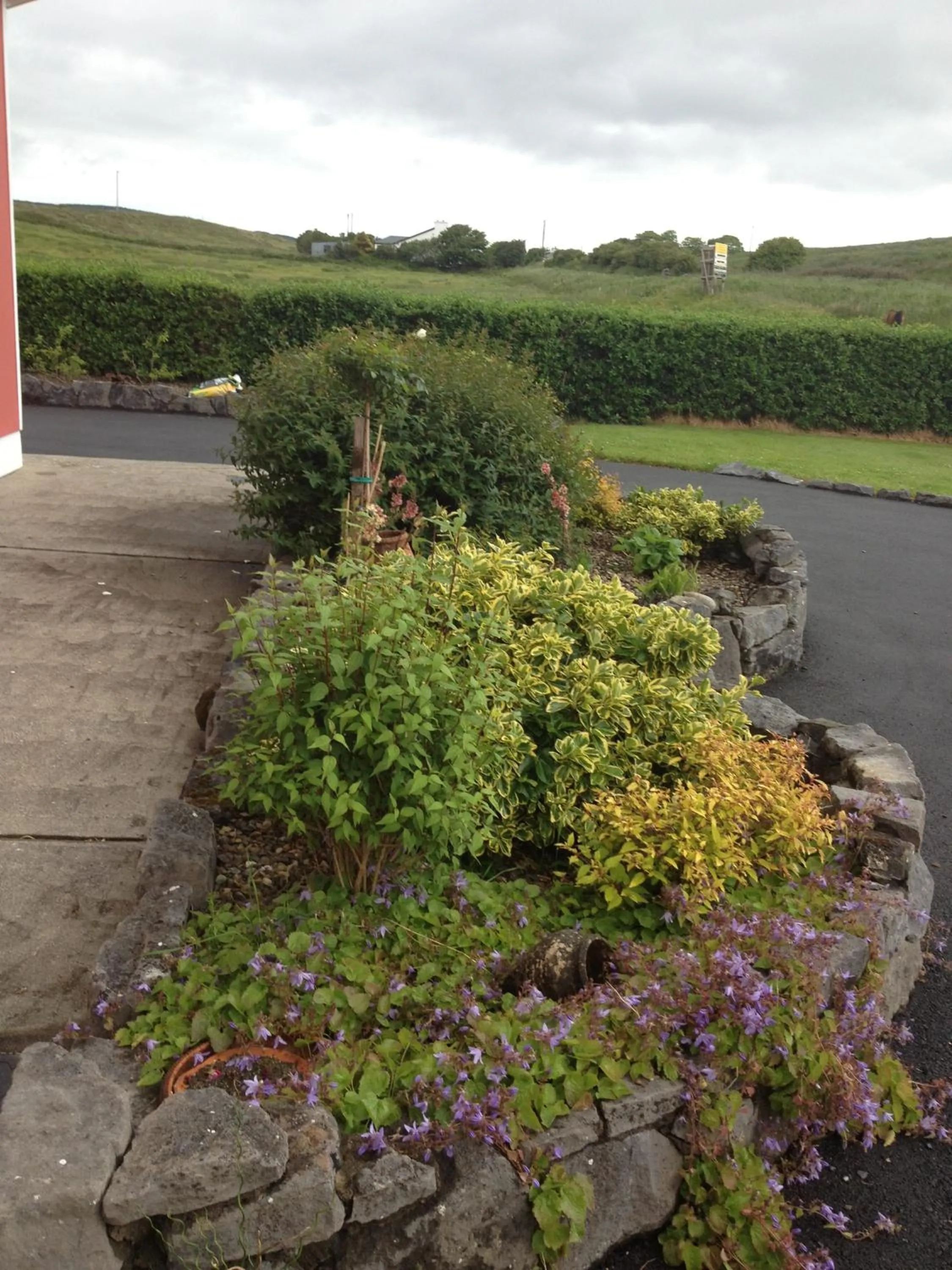 Garden in Greenlawn Lodge