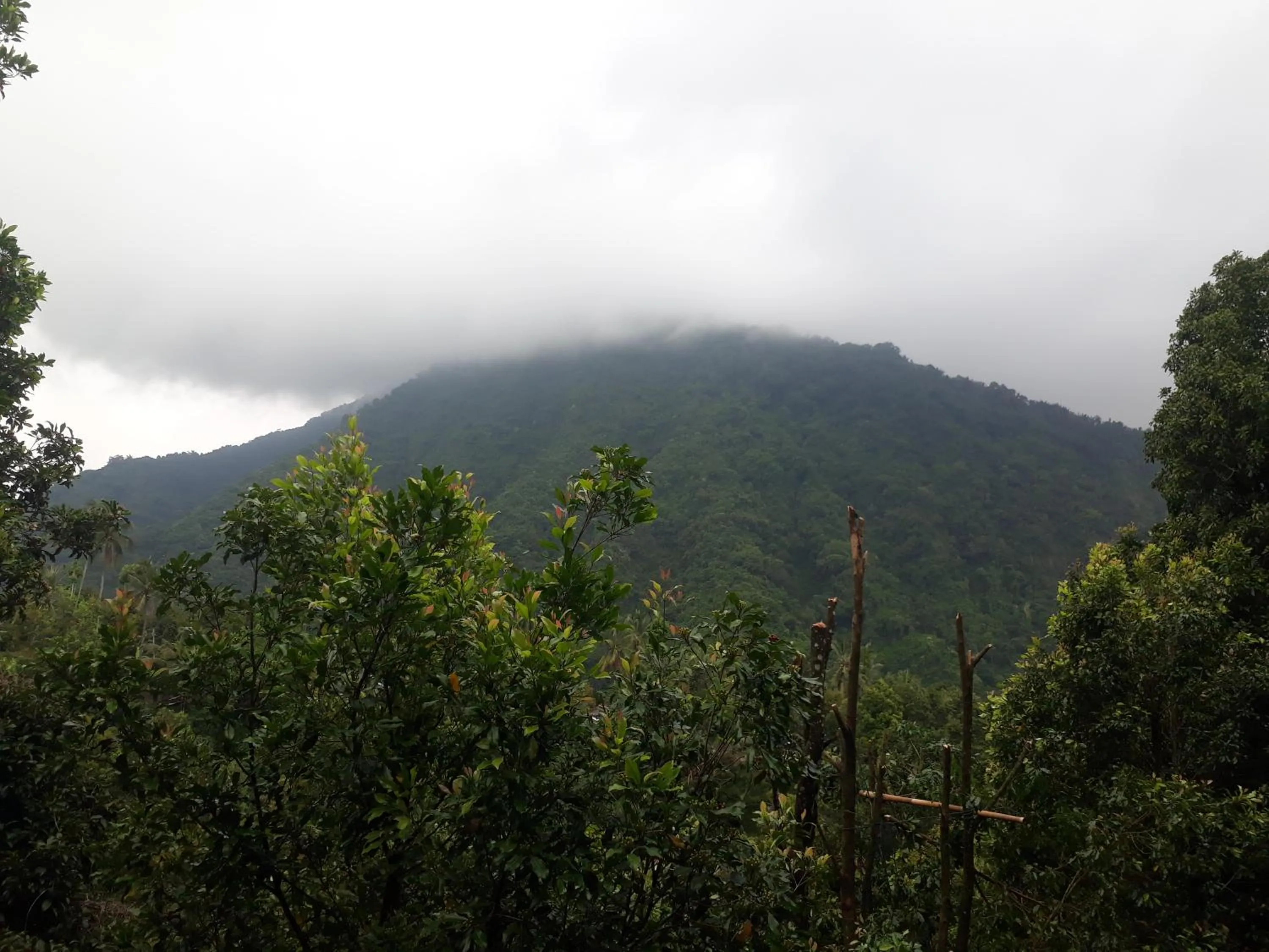 Double Room with Terrace in Sugi Gede Homestay