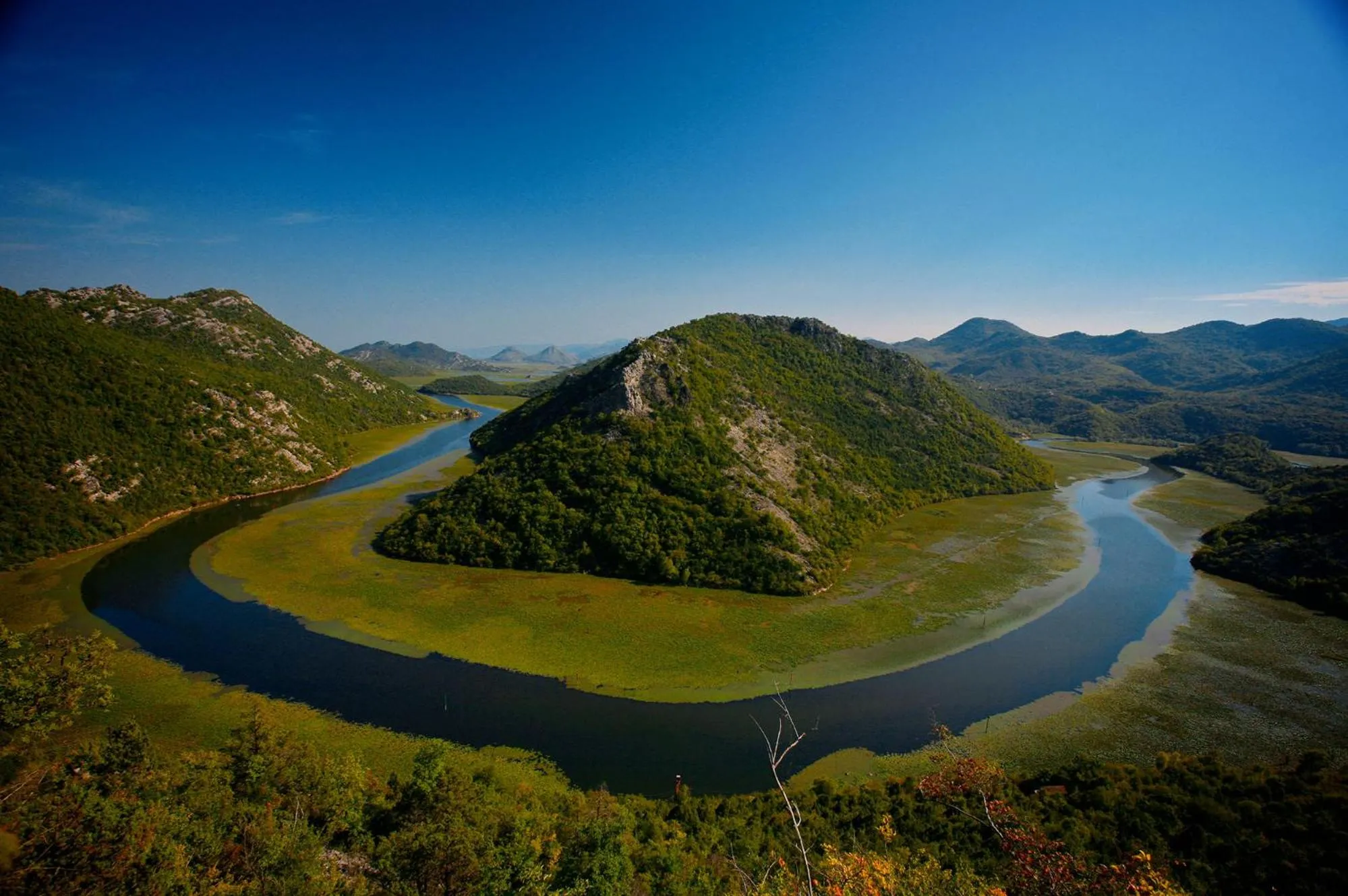 Fishing in Hotel Harmony by Aycon