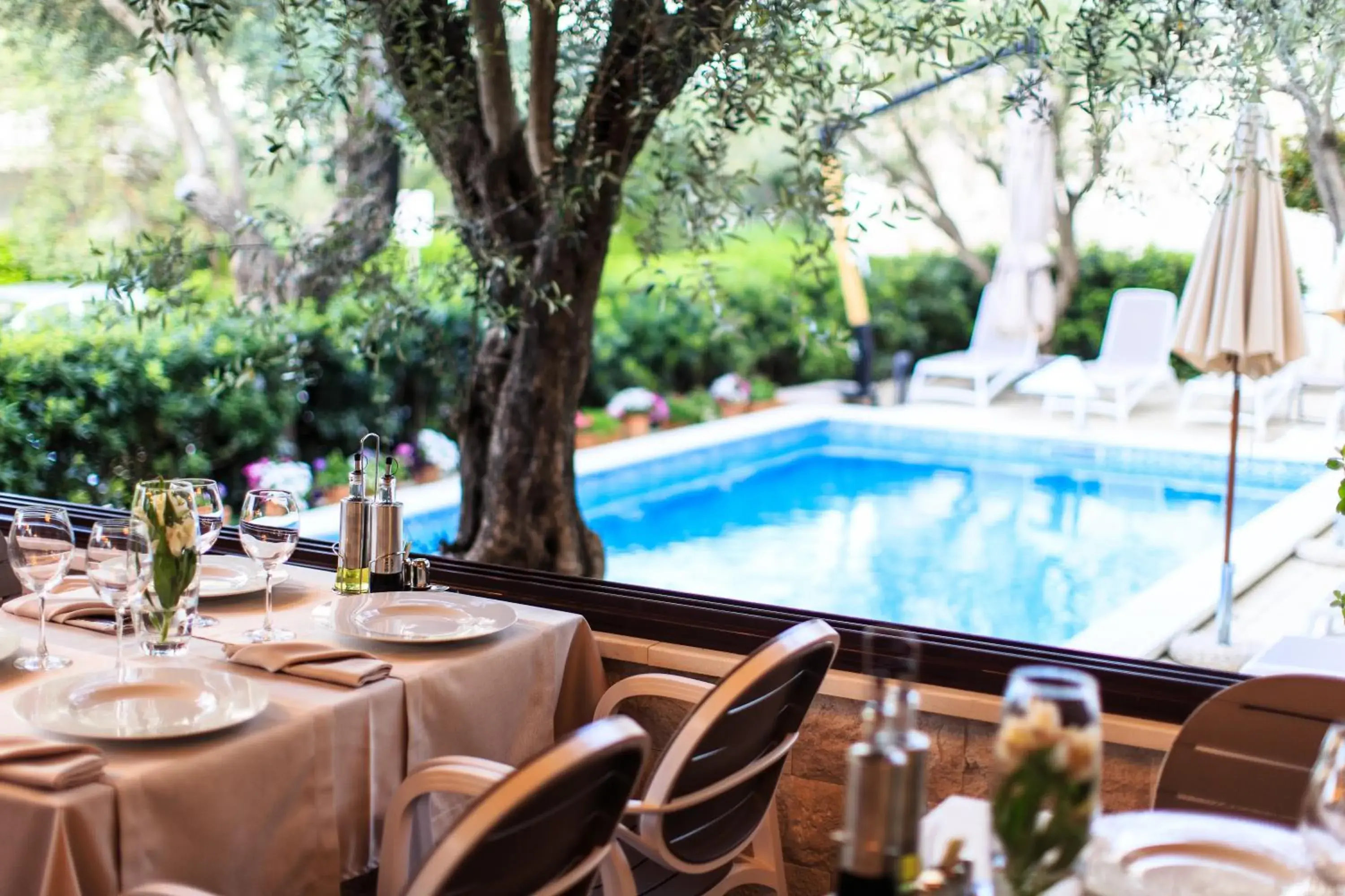 Restaurant/places to eat in Hotel Harmony by Aycon Restaurant/places to eat in Hotel Harmony by Aycon