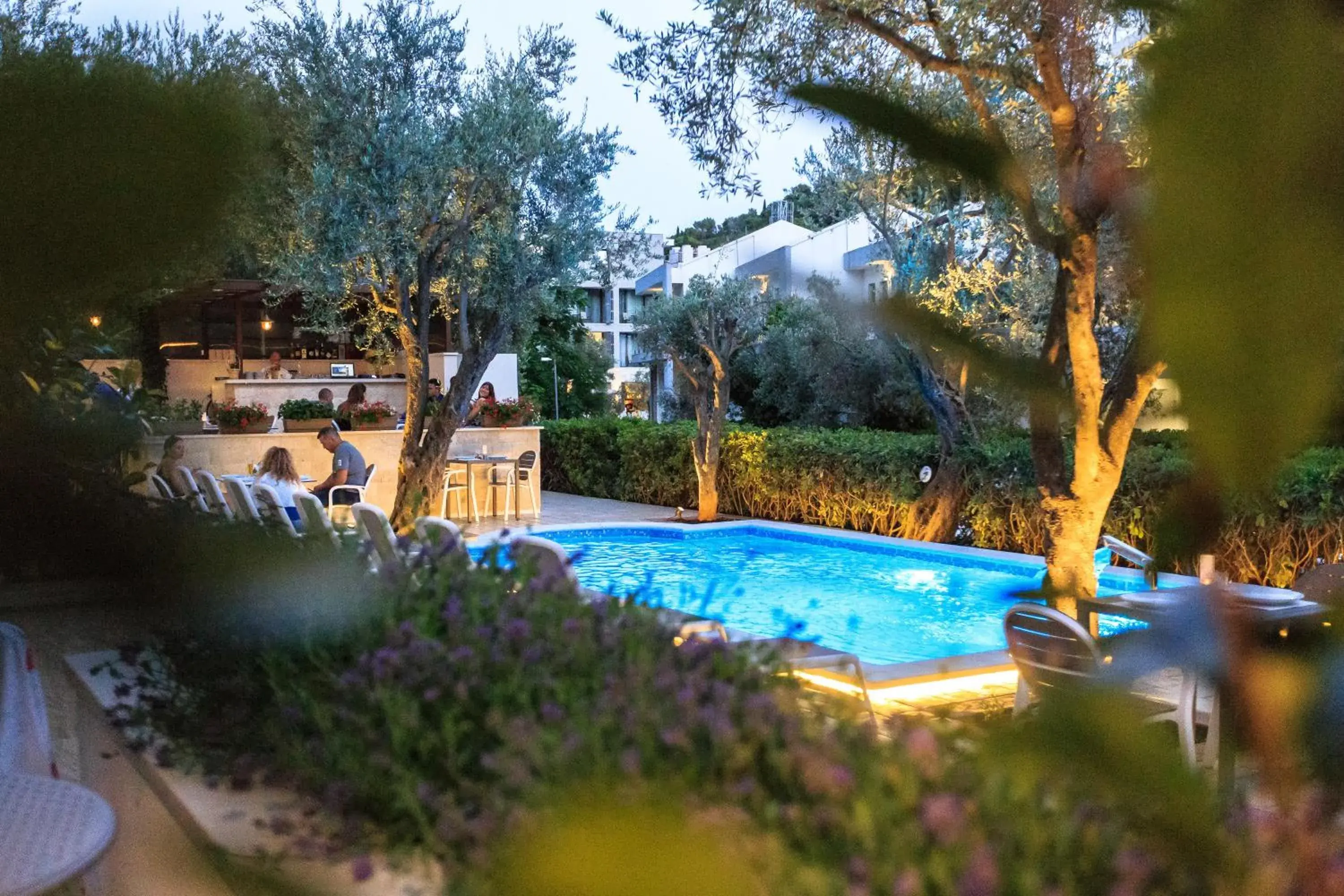 Swimming pool in Hotel Harmony by Aycon Swimming pool in Hotel Harmony by Aycon