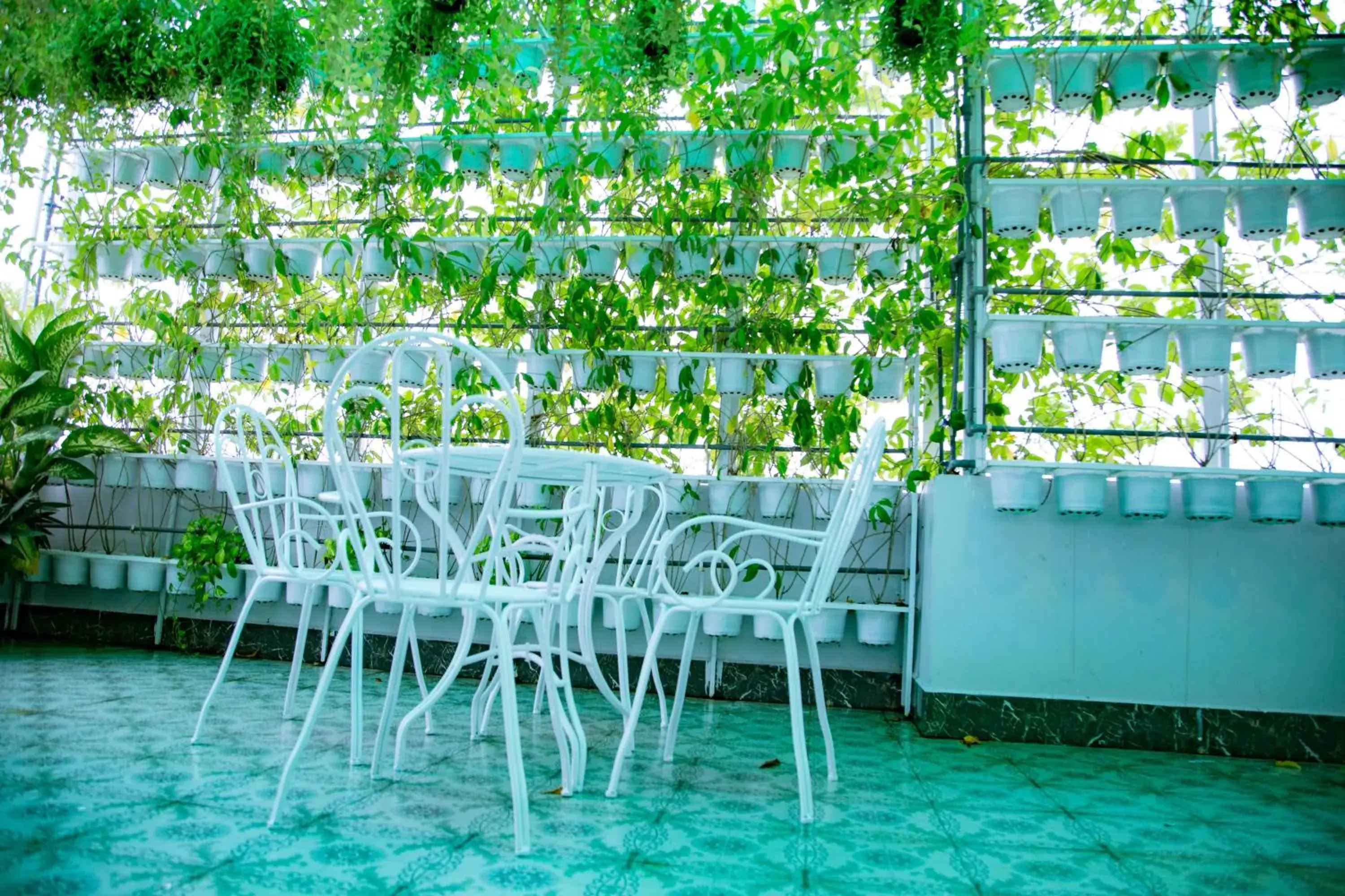 Restaurant/places to eat in Huynh Duc 2 Hotel Restaurant/places to eat in Huynh Duc 2 Hotel